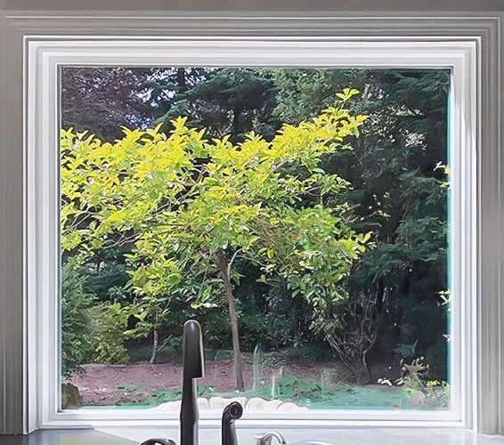 A picture window in a modern kitchen showcasing lush greenery and trees outside.