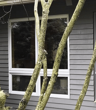 the before side of a custom vs builder-grade windows