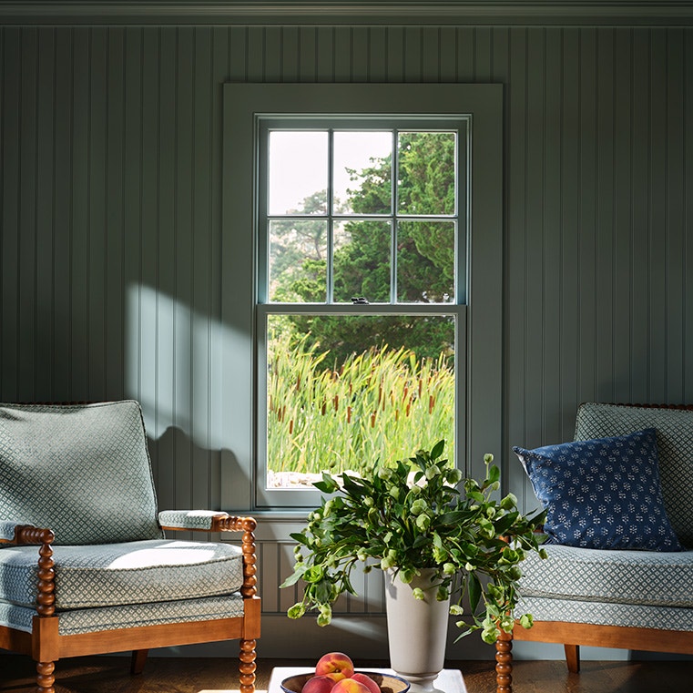 A cozy living room featuring green windows  and a potted plant.