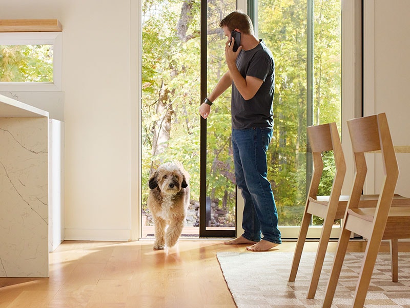 A man on a phone is letting his dog into the house through a sliding patio door with a retractable screen.