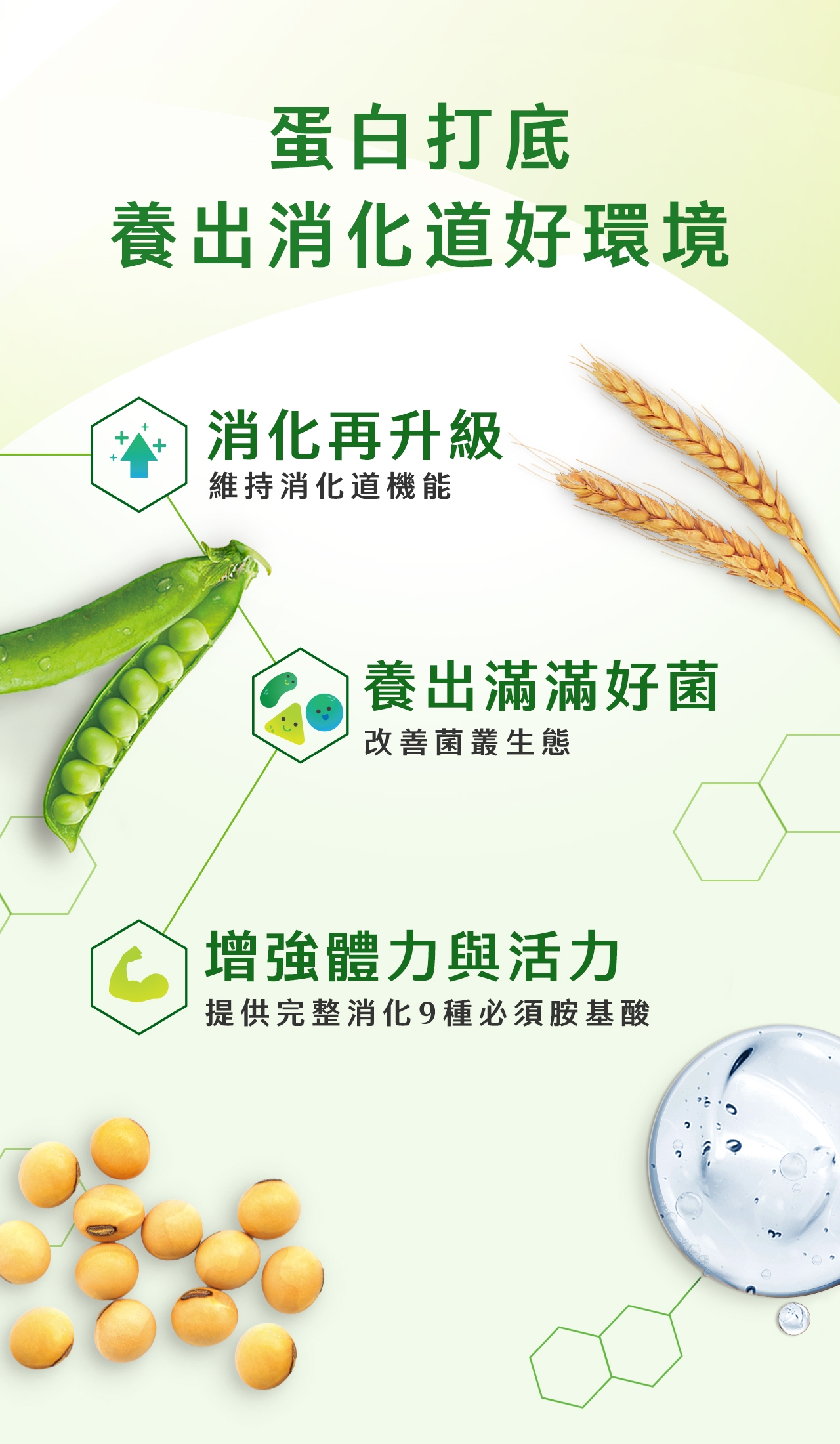 Nutrilite_優質蛋白素EDM_02.jpg