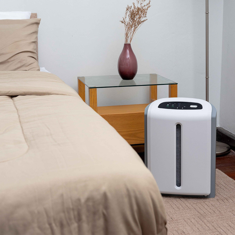 逸新空氣清淨機MINI - 僅宅配暫不安裝（分6 期）