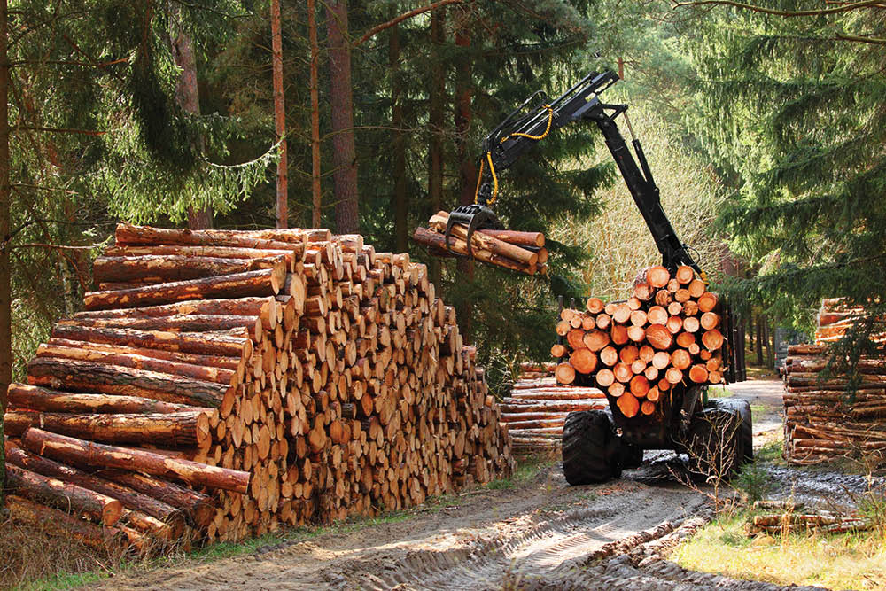 FEATURE Kendrick Forest Products.jpg