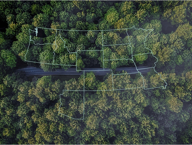 Outline of map on top of trees