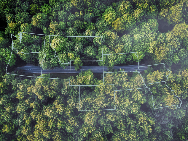 Outline of map on top of trees
