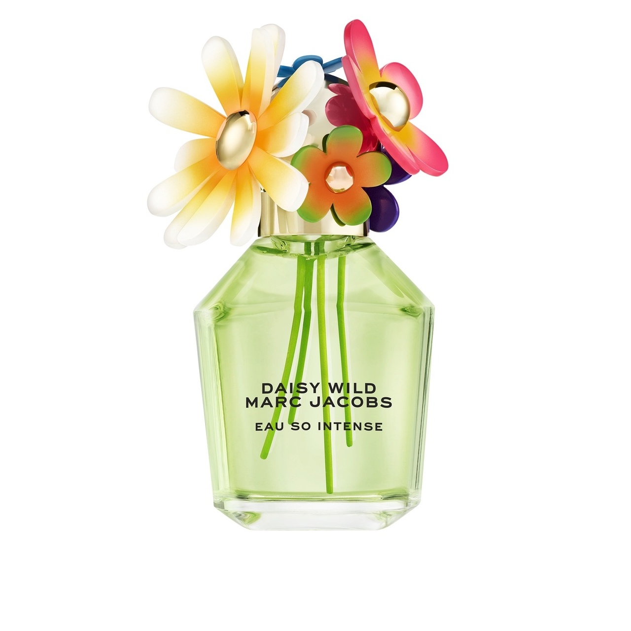 Daisy Wild Eau So Intense