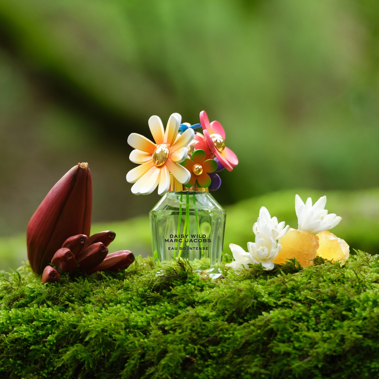 Daisy Wild Eau So Intense