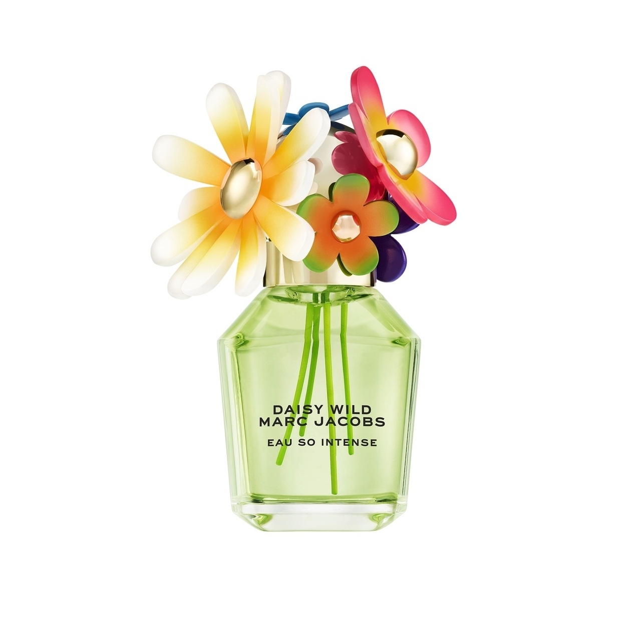 Daisy Wild Eau So Intense