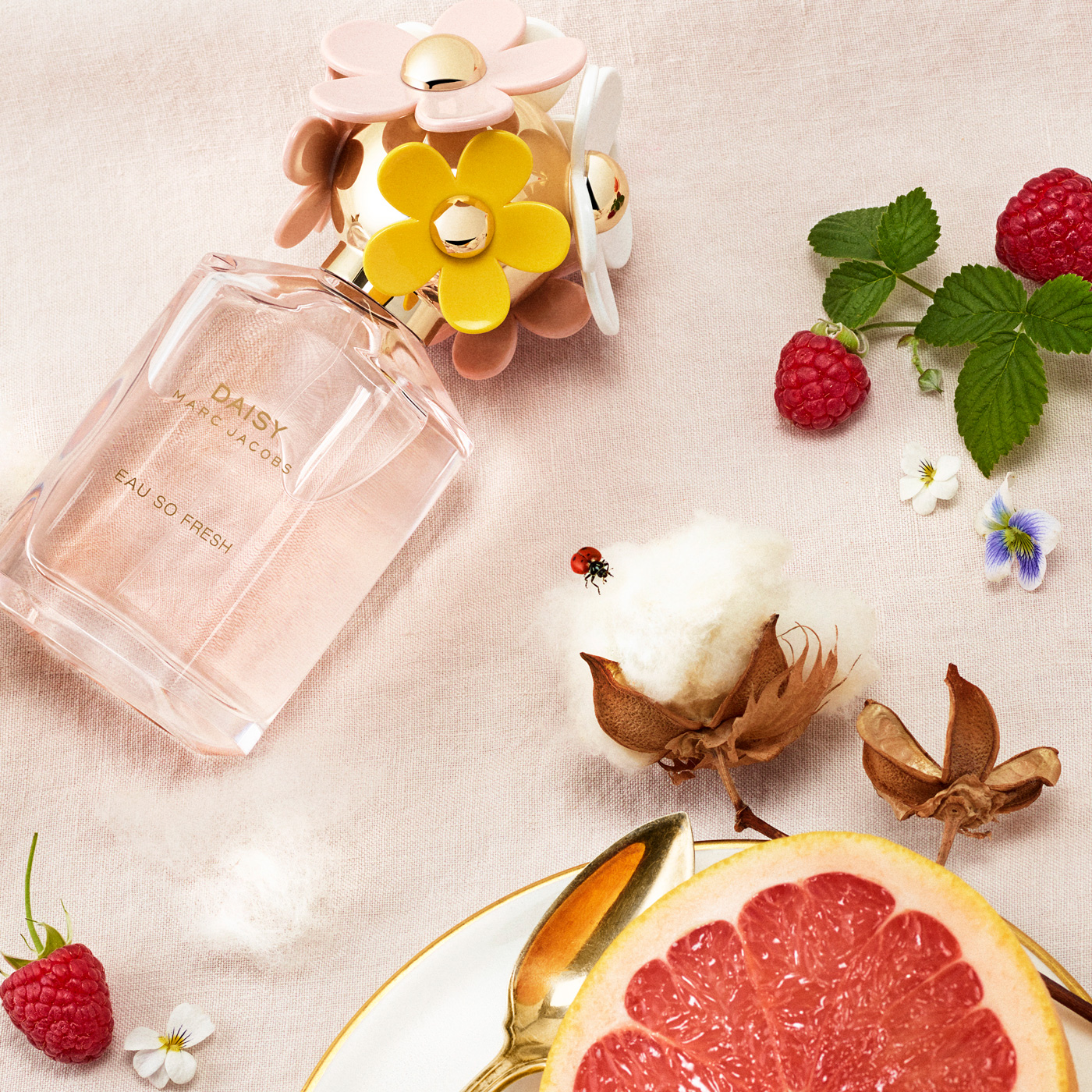 Daisy Eau so Fresh: Fragrance Notes Image