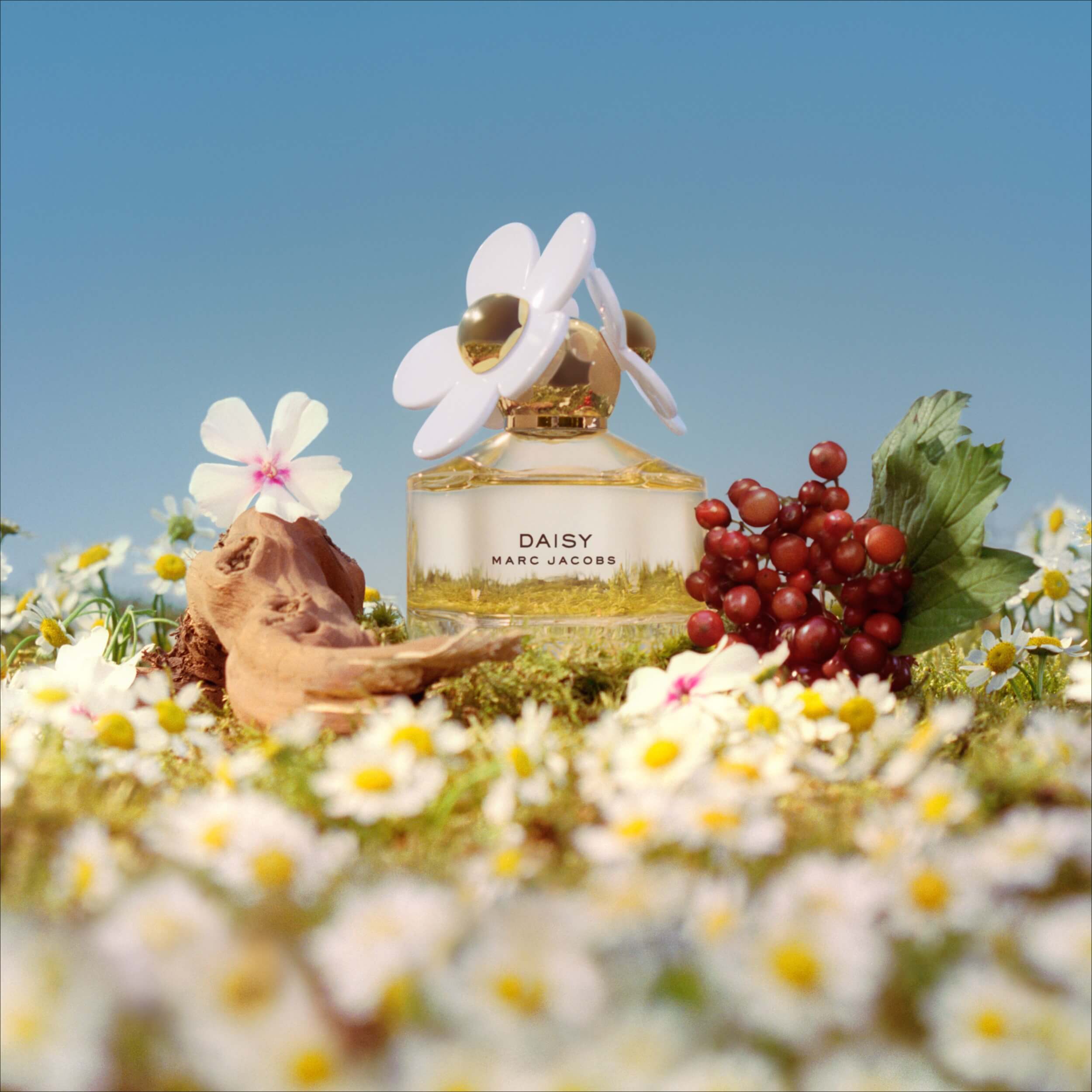 Marc jacobs daisy store flower perfume