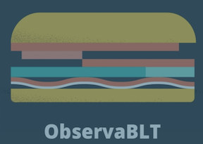 observa-blt.png