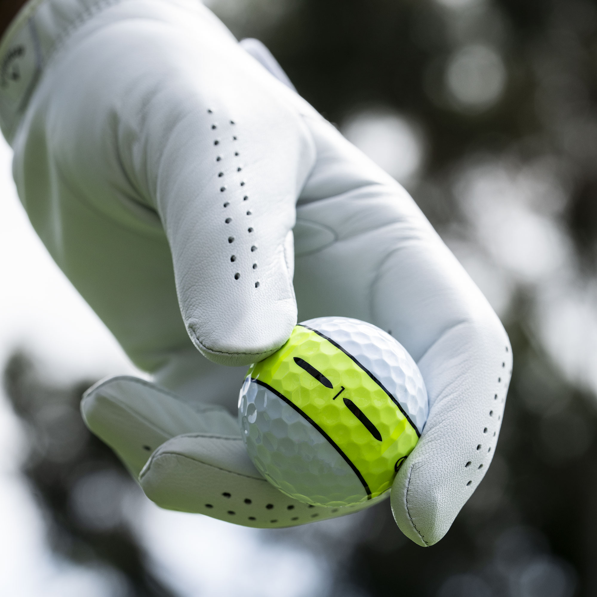 ゴルフタオル　米Golden Horseshoe Chrome Tour X 360 Yellow Stripe Golf Balls