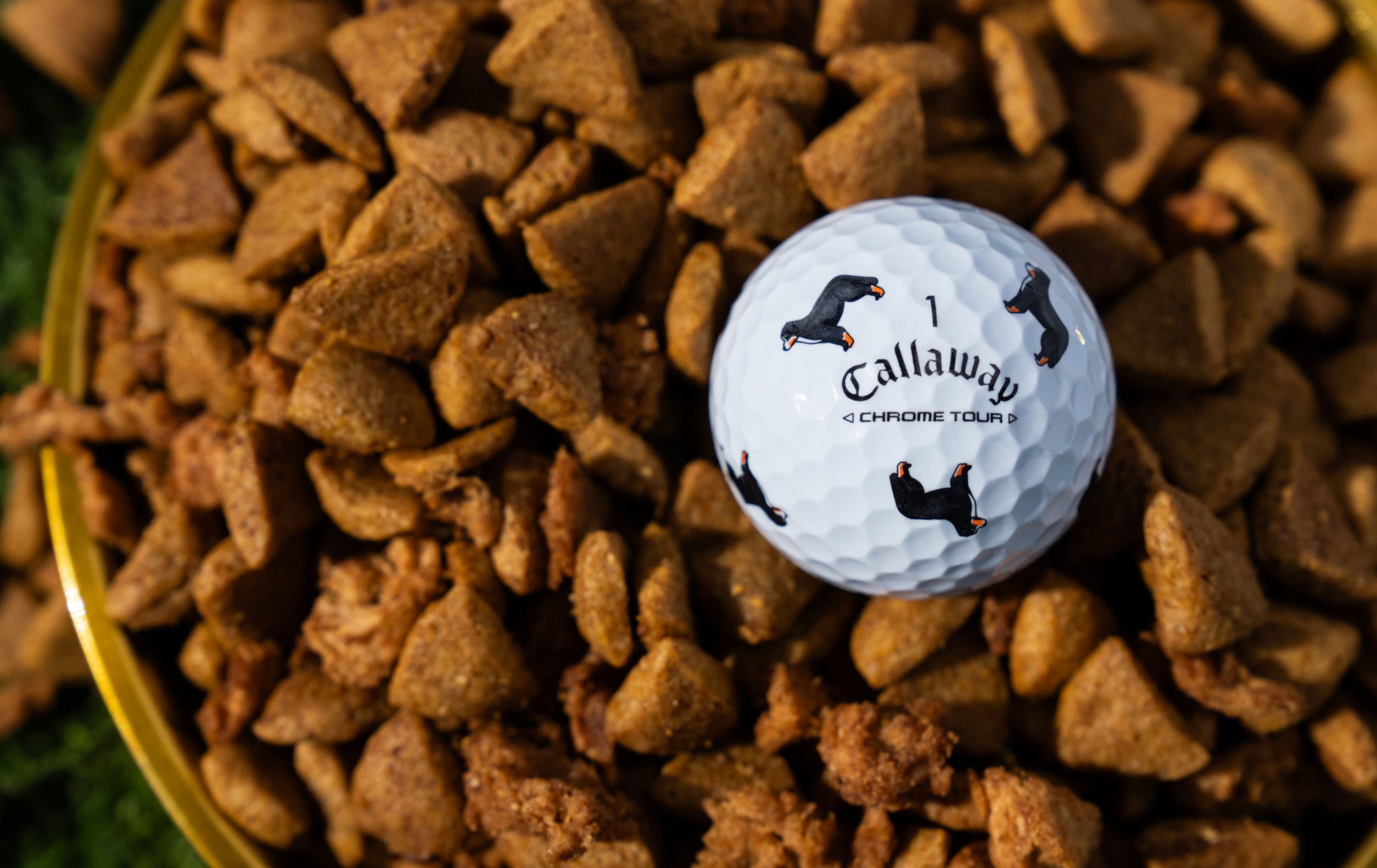 Chrome Tour Let the Big Dog Eat – Bernese Mountain Dog Golf Balls