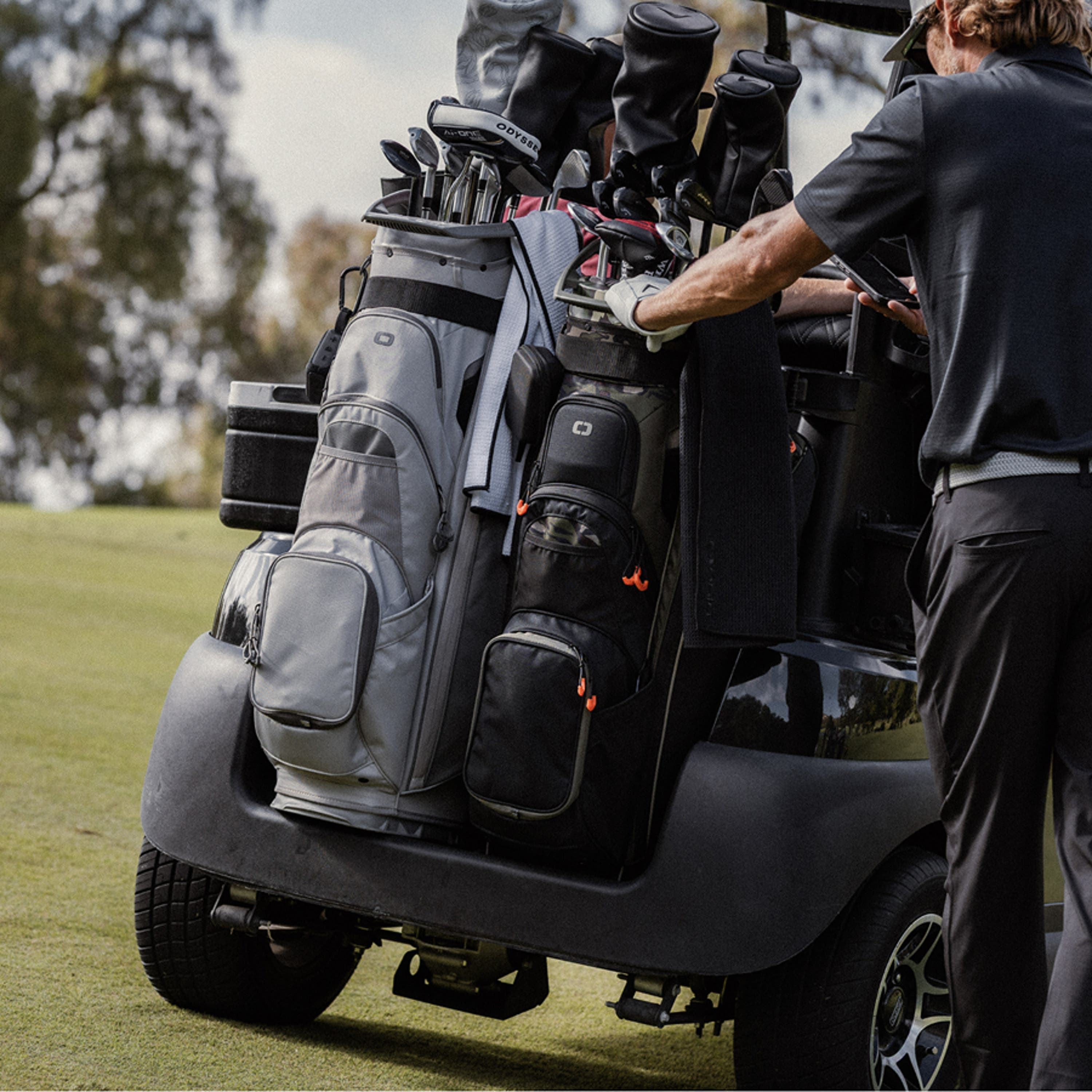 CART BAGS