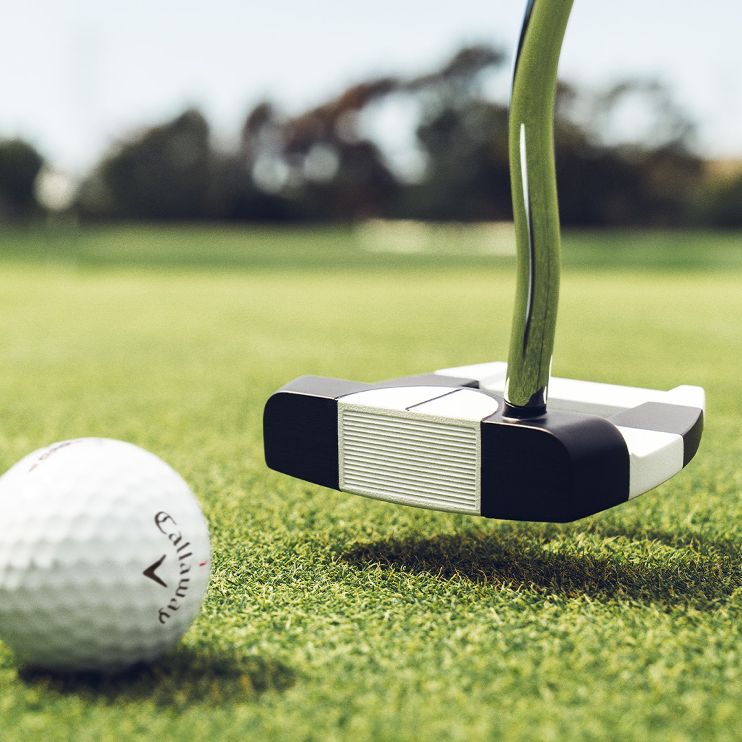 Ai-DUAL Jailbird Mini ½ Ball Putter