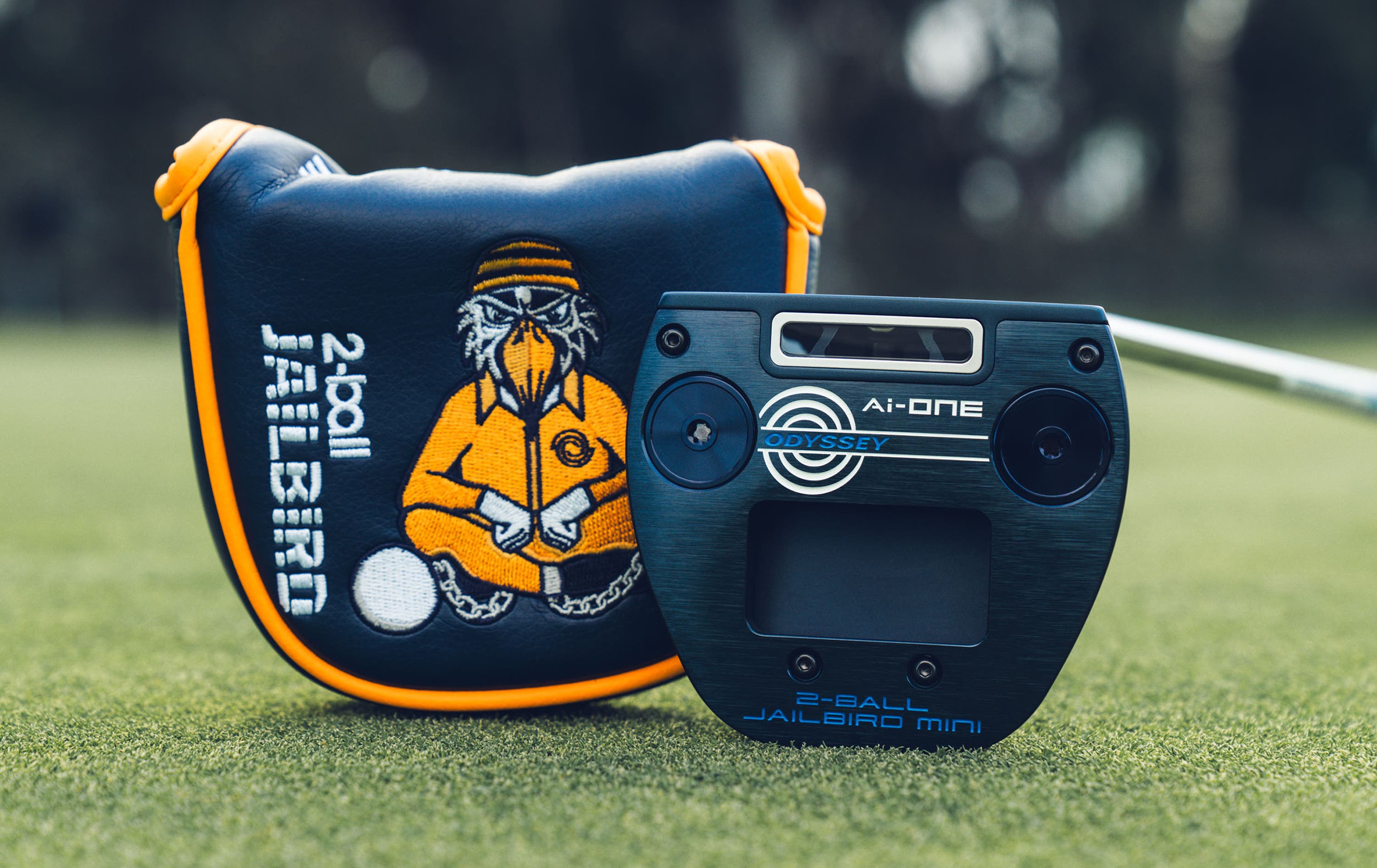 Ai-ONE 2-Ball Jailbird DB Putter