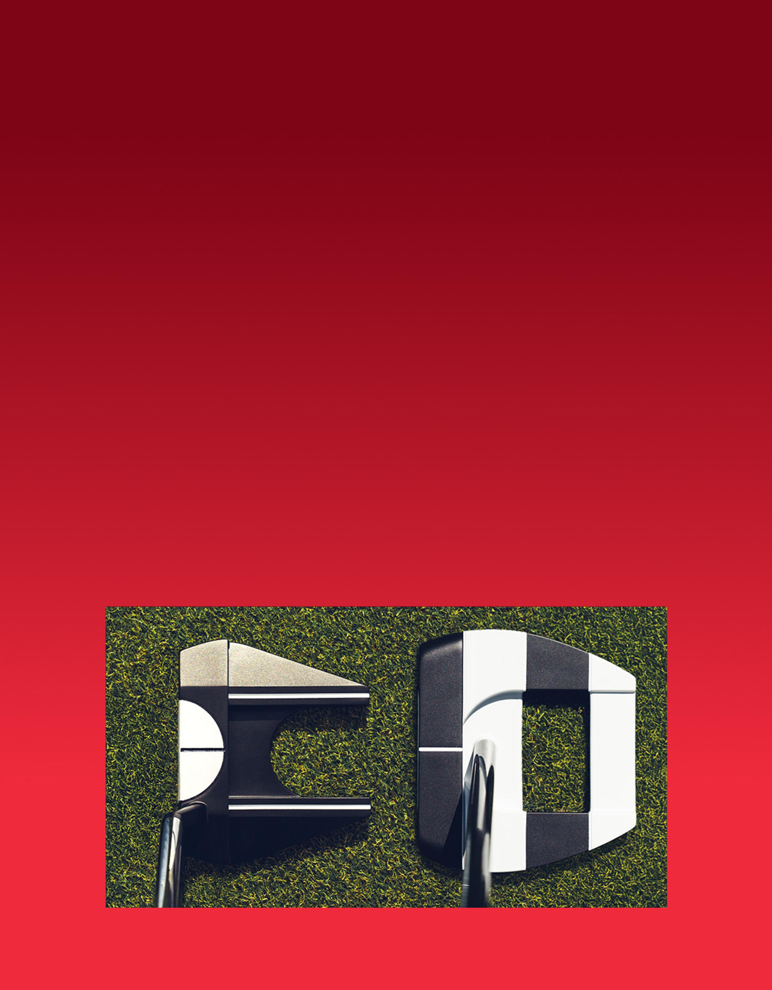 AI Dual 1/2 Putters