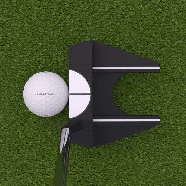 Ai-DUAL 1/2 Ball Putter and Golf Ball