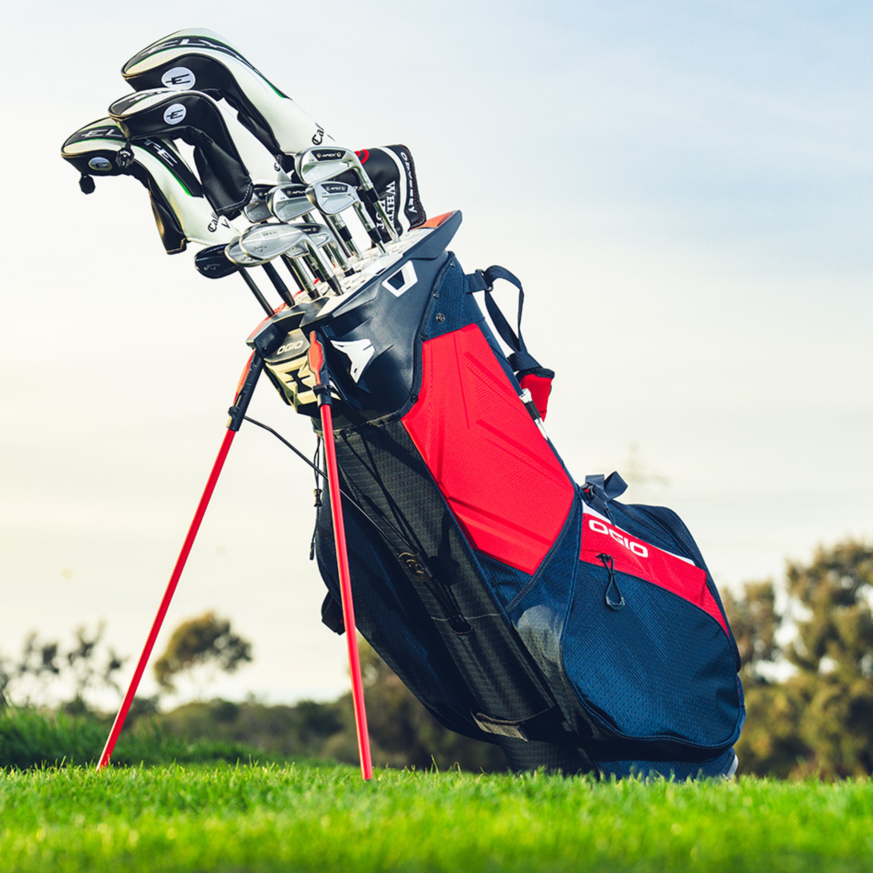 30% off Golf Bags