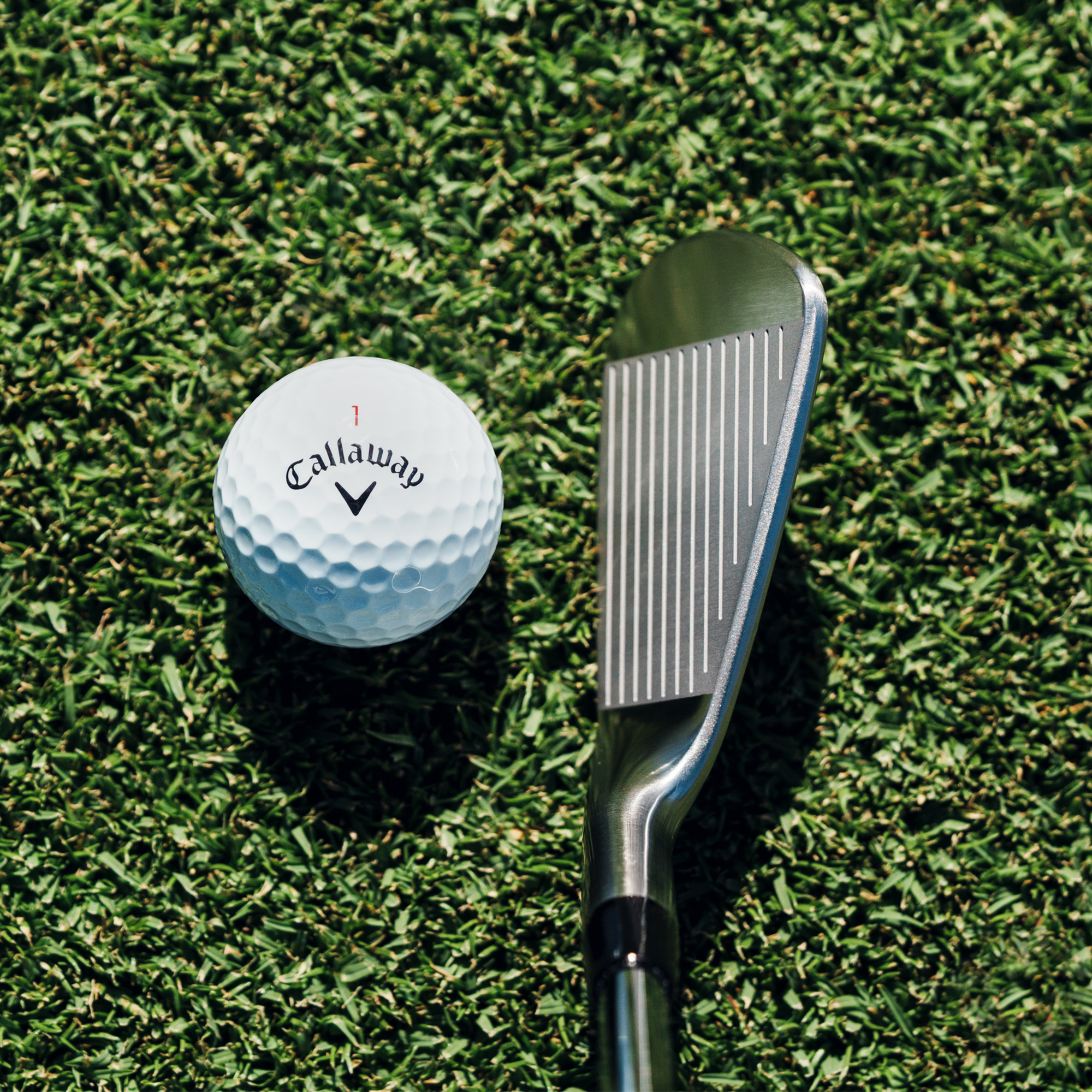 Apex MB Tour Raw Irons