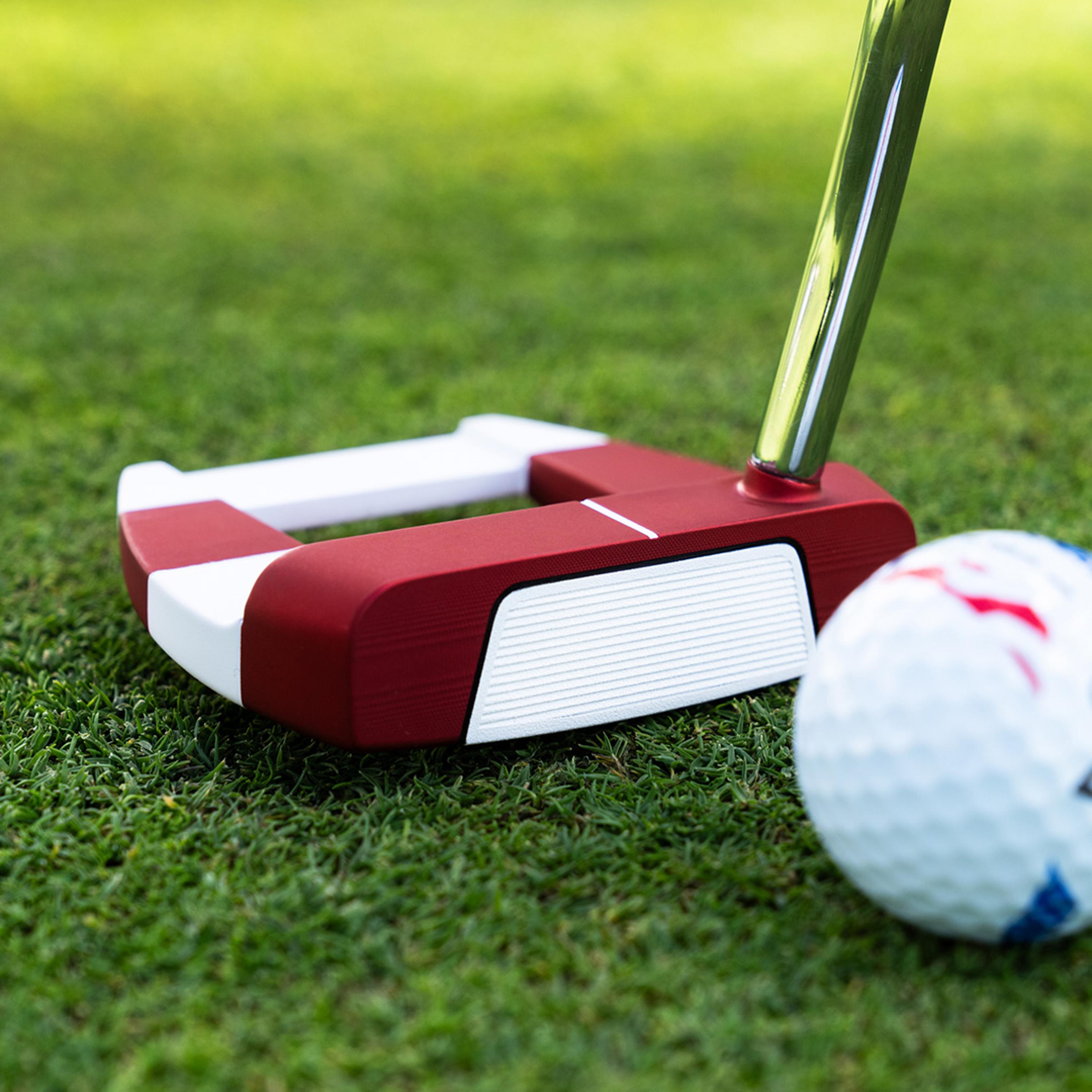 Ai-DUAL USA 250 Freebird Mini Putter