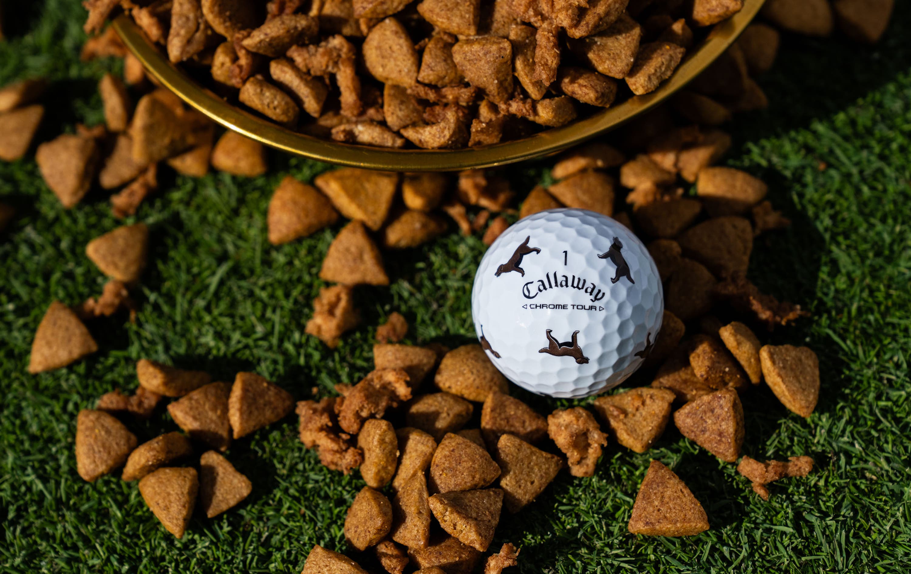 Chrome Tour Let the Big Dog Eat – Chocolate Lab Golf Balls