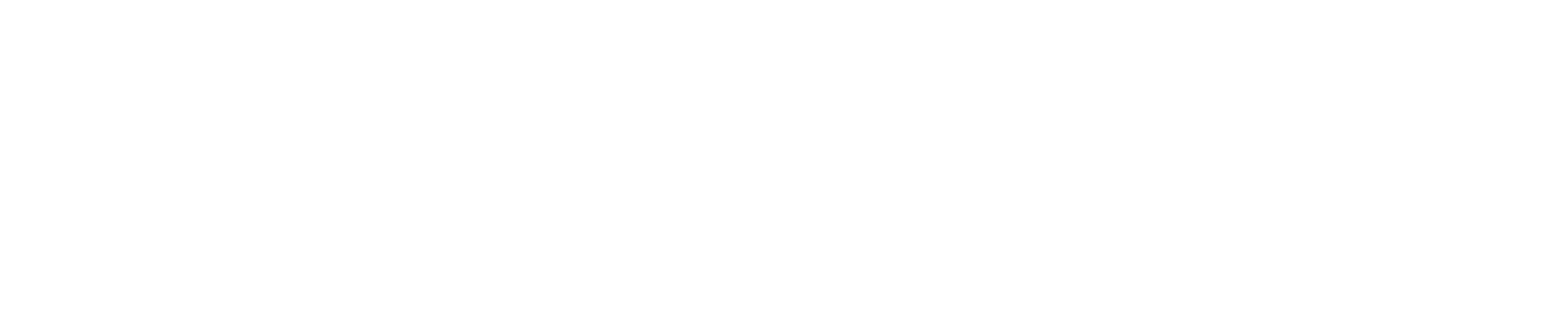 apex-logo-white.png