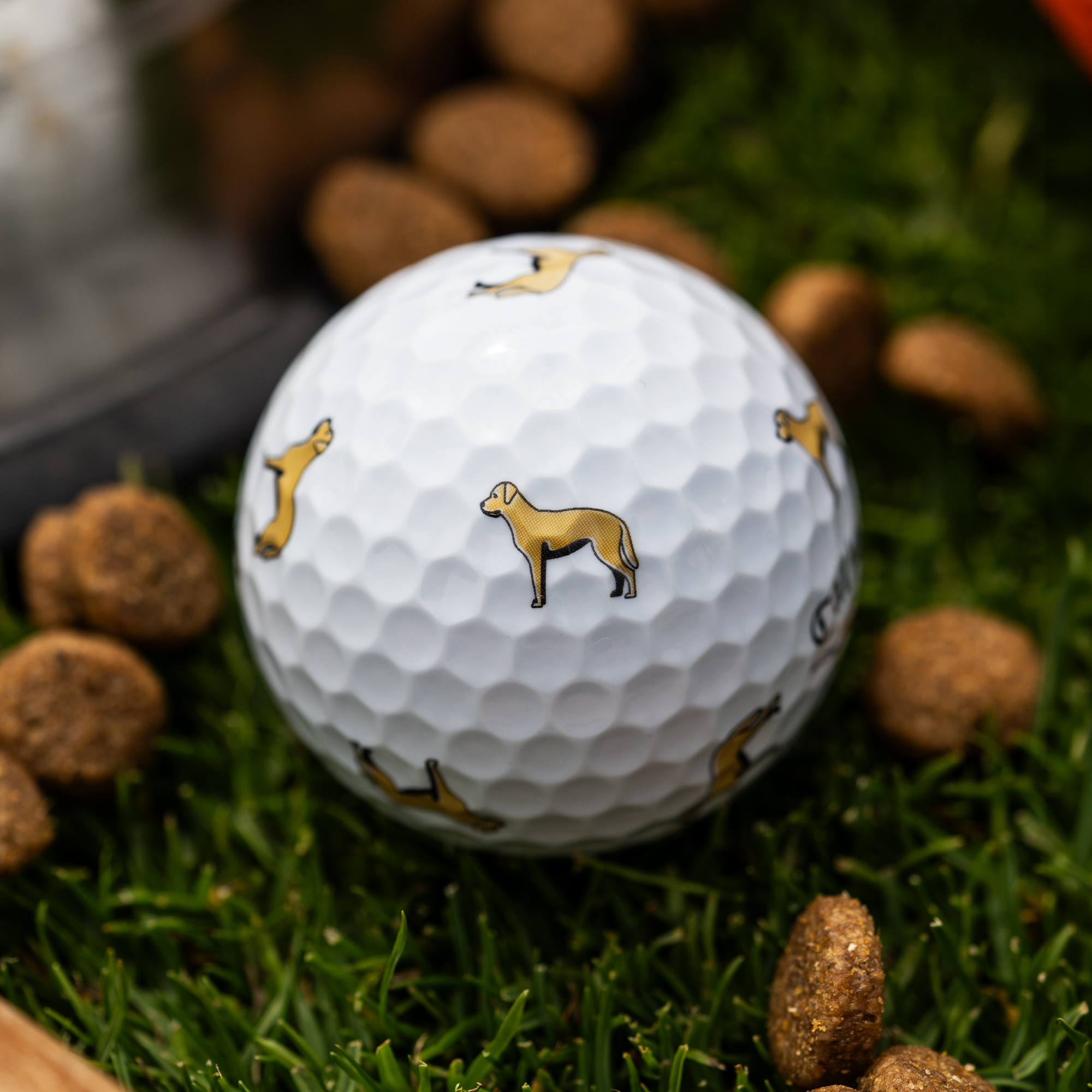 Chrome Tour Yellow Lab Dog Golf Balls