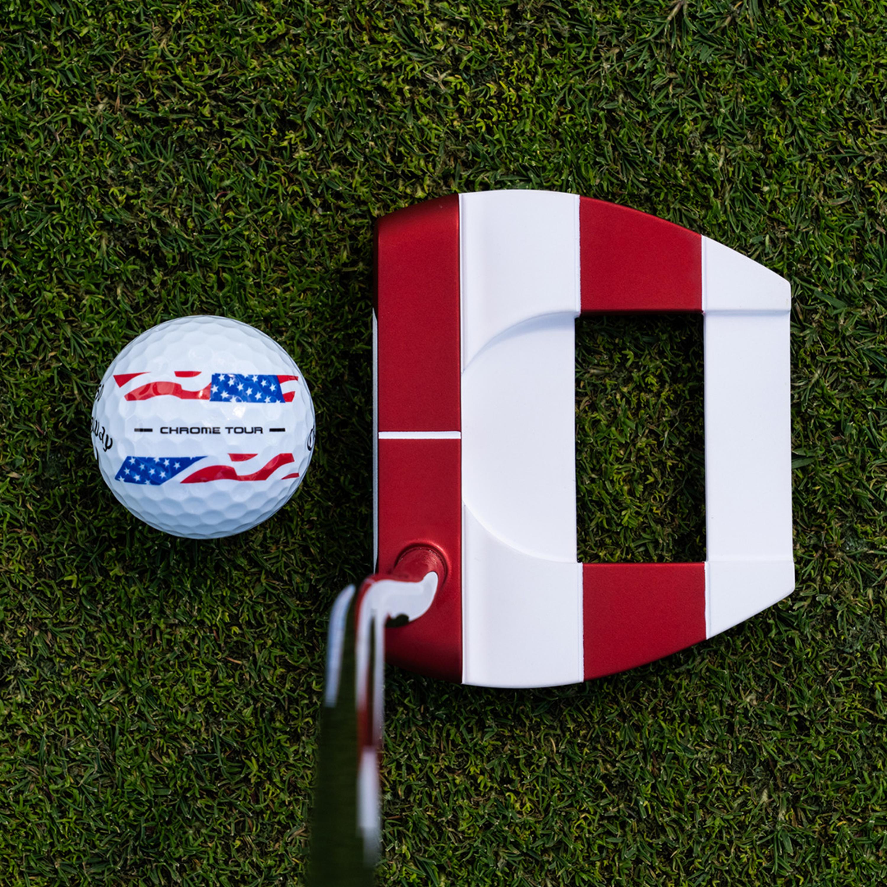 Ai-DUAL USA 250 Freebird Mini Putter