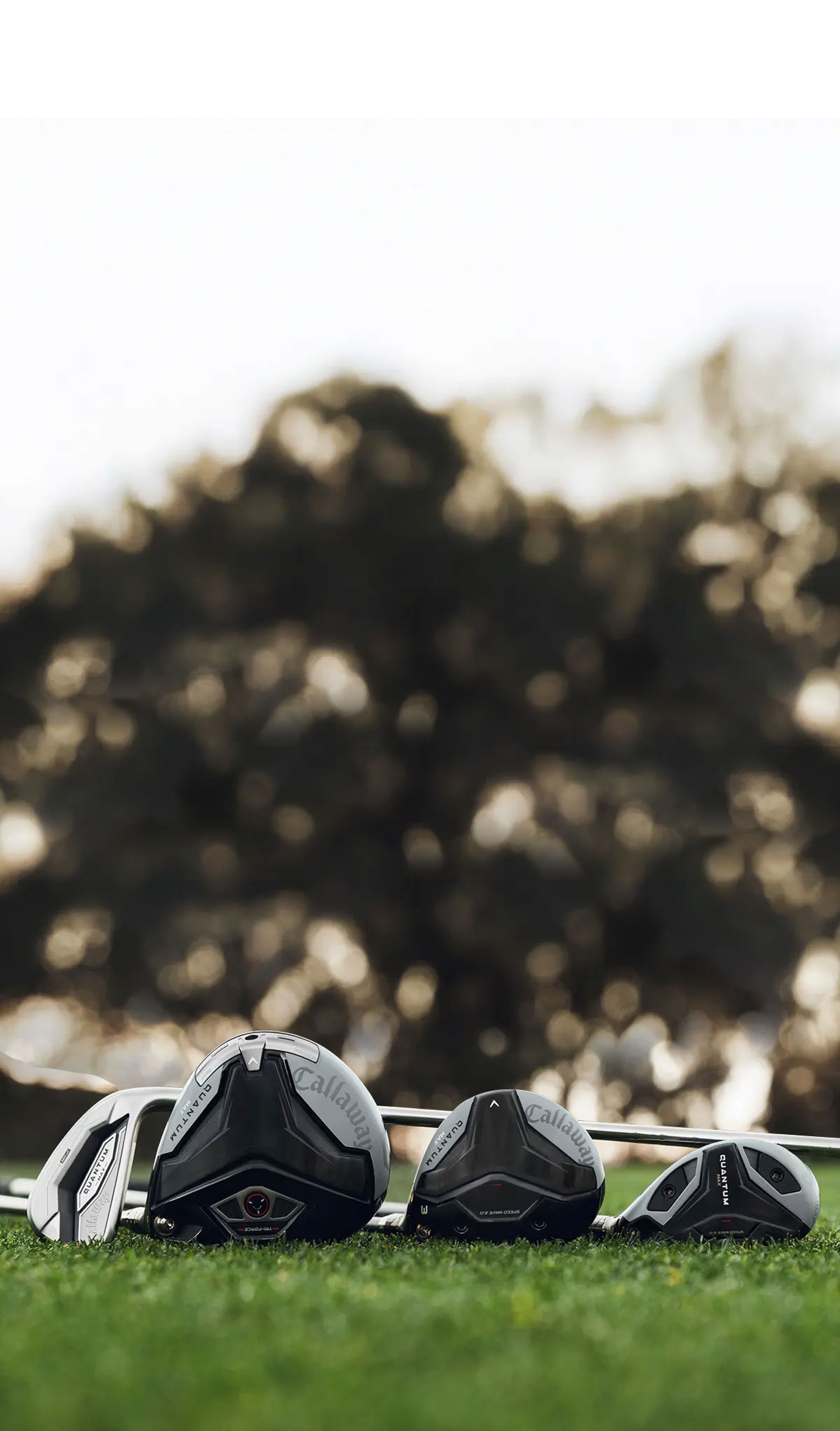 2026 Quantum family group shot