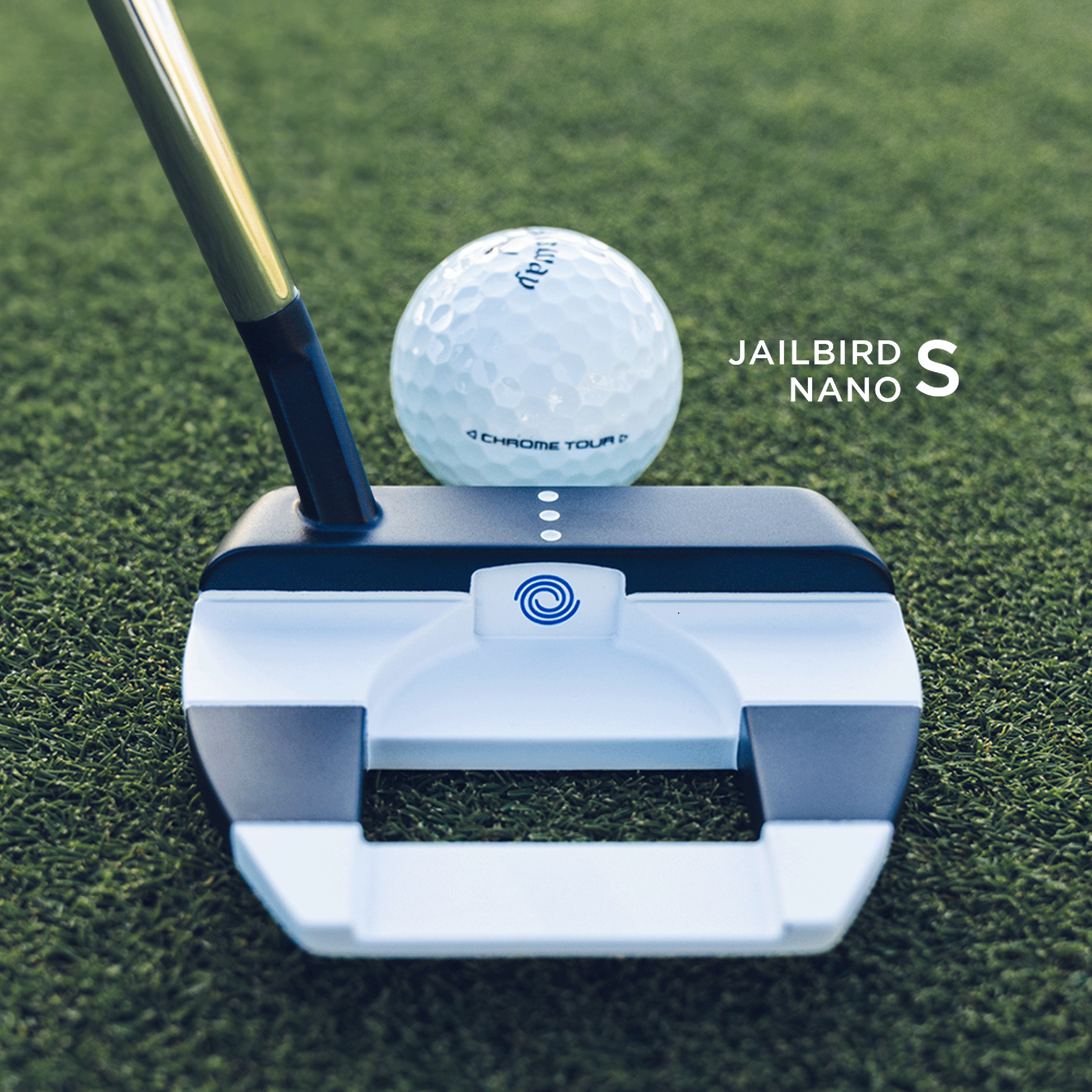 View: Ai ONE Jailbird Nano Putters