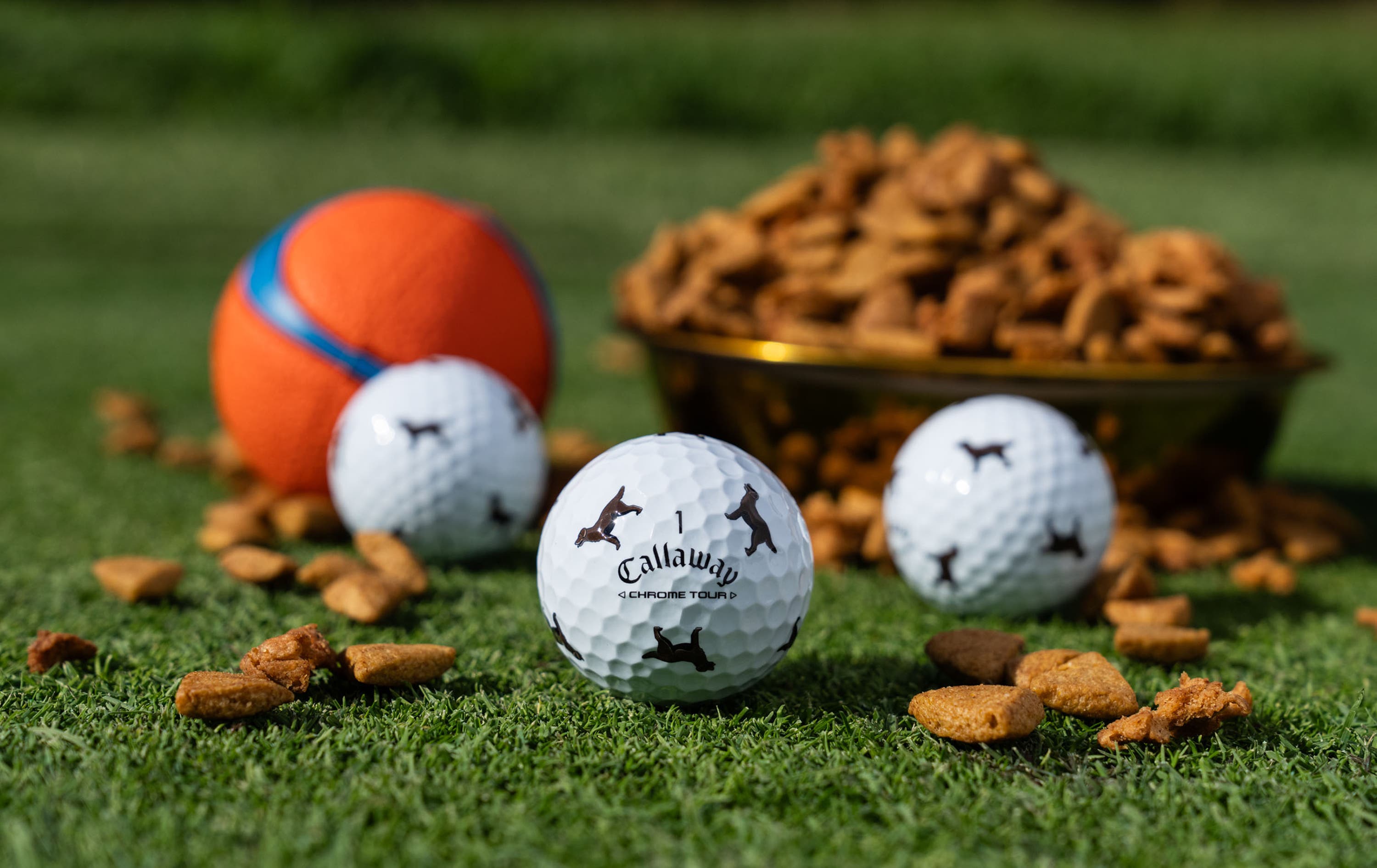 Chrome Tour Let the Big Dog Eat – Chocolate Lab Golf Balls