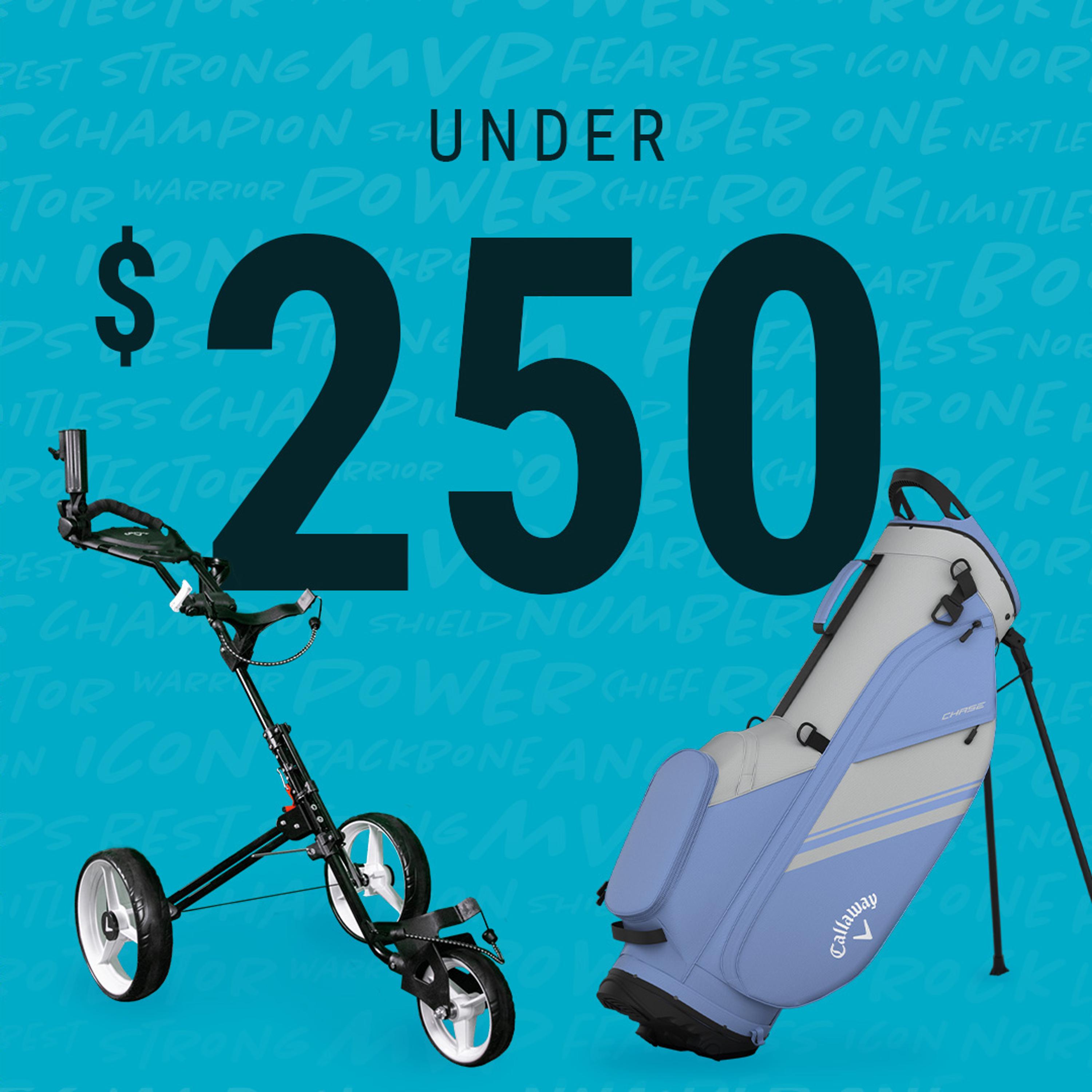 View: Gifts Under $250