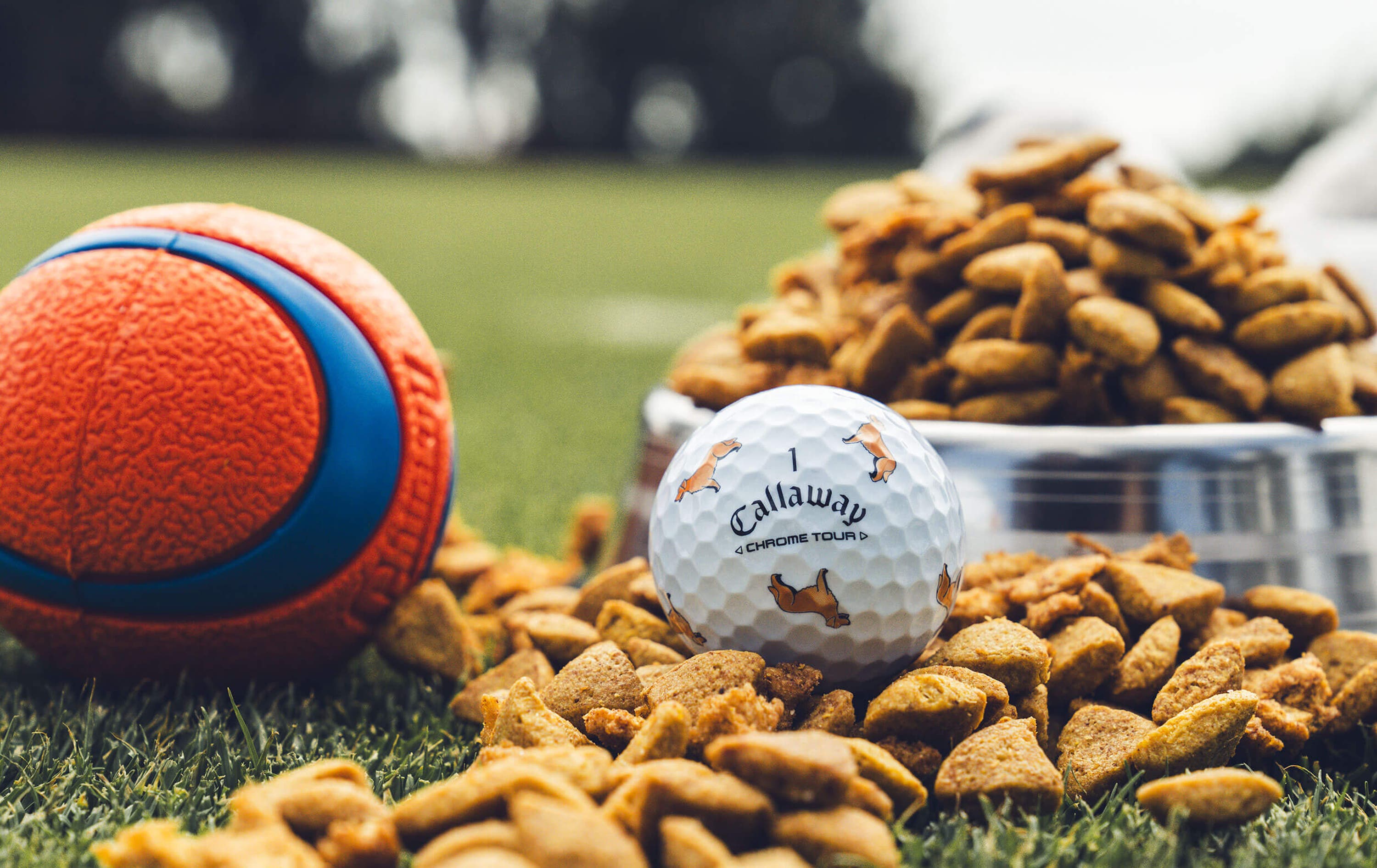 Golden Retriever Chrome Tour Golf Balls