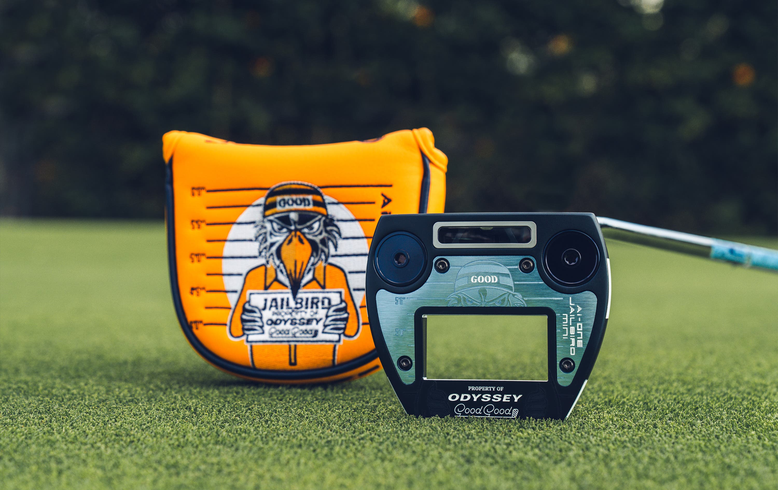 Good Good Ai-ONE Jailbird Mini DB Putter