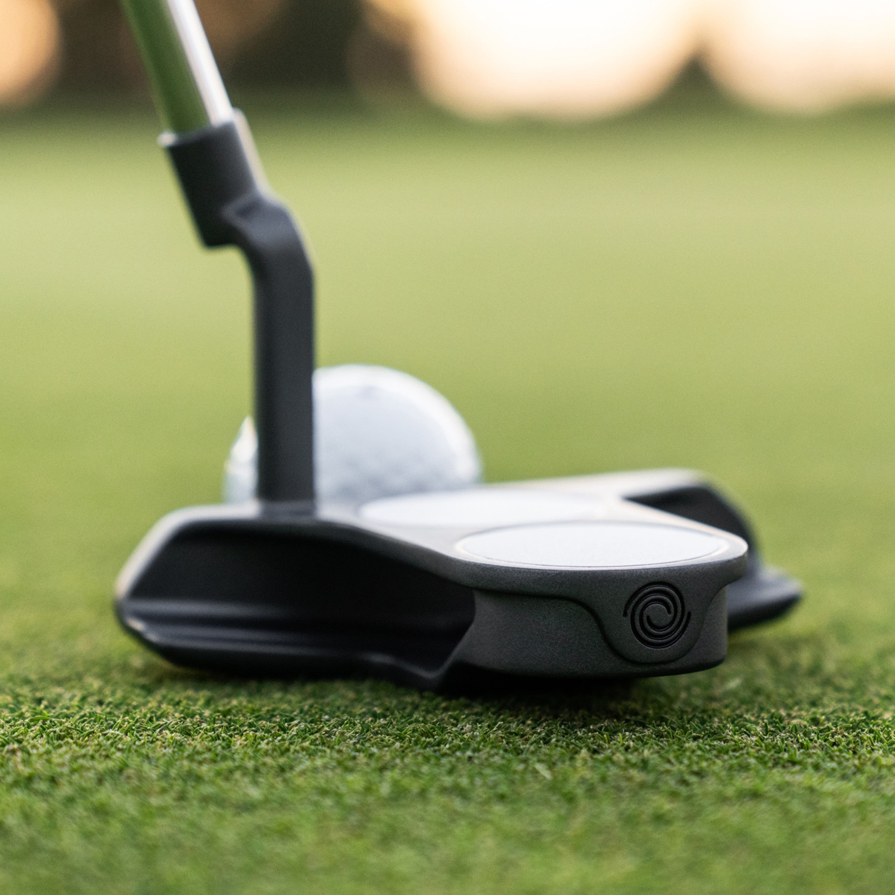 DFX 2-Ball Blade CH Putter 