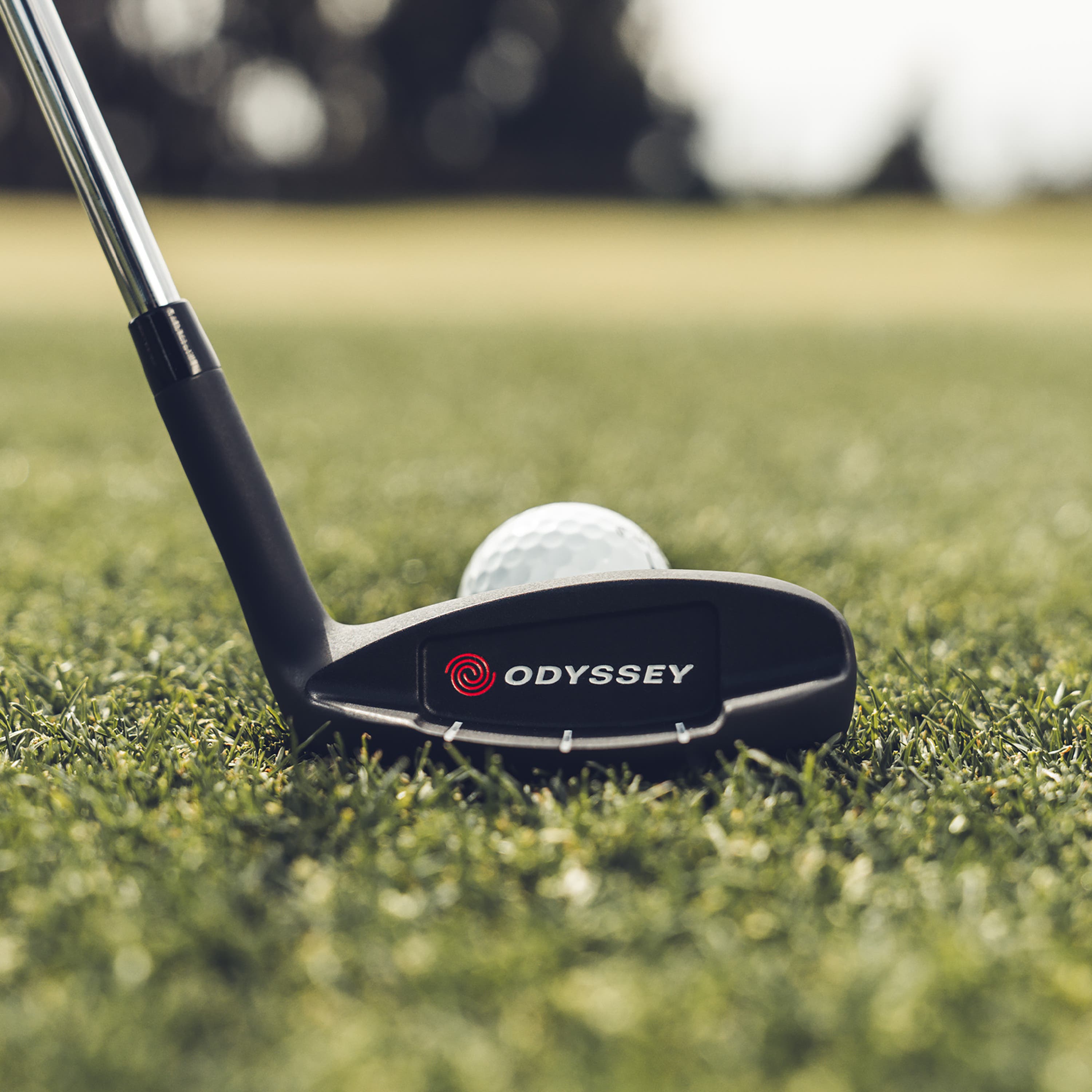 View: Odyssey Chipper