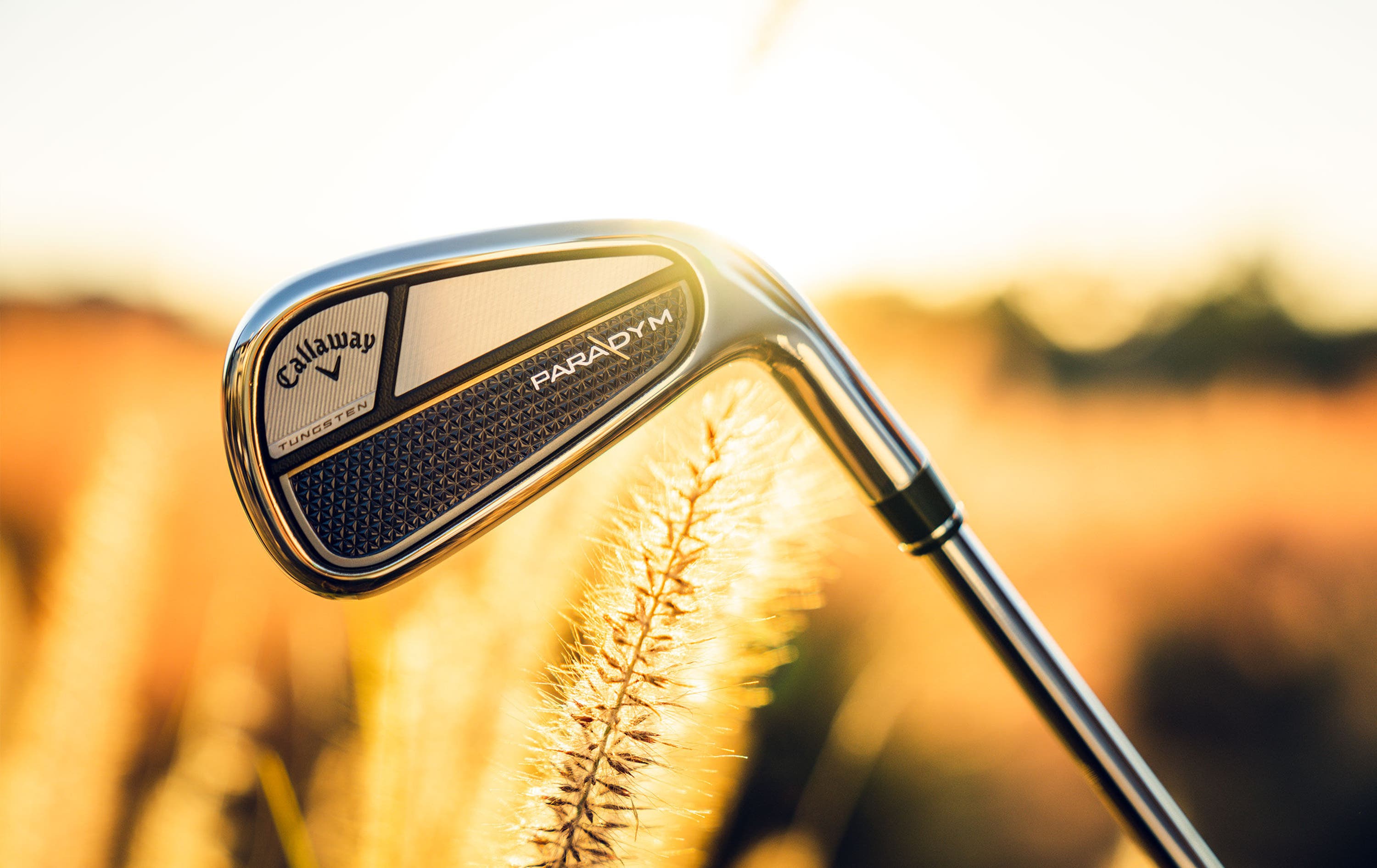 Women's Paradym Irons