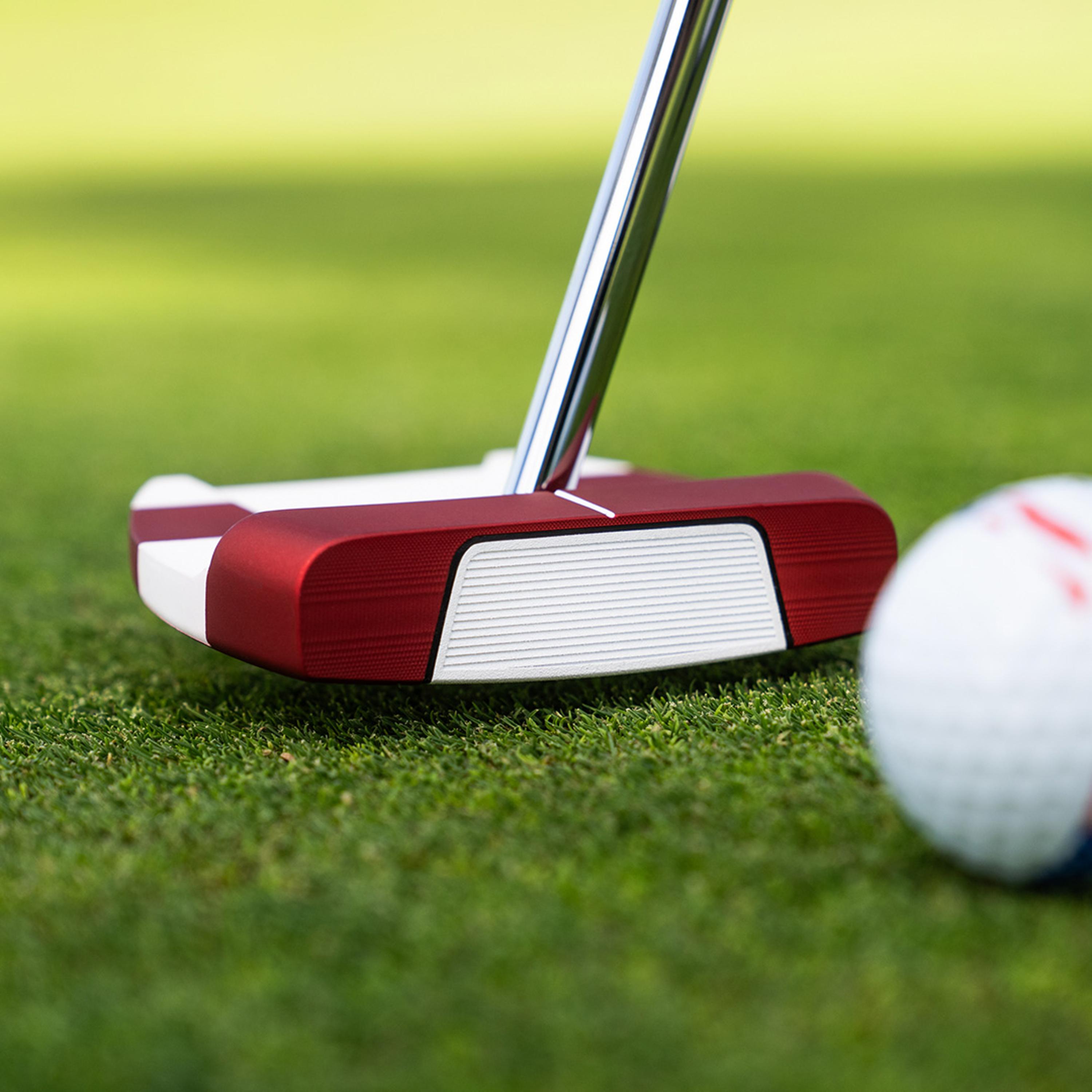 Ai-DUAL USA 250 Freebird Cruiser Putter