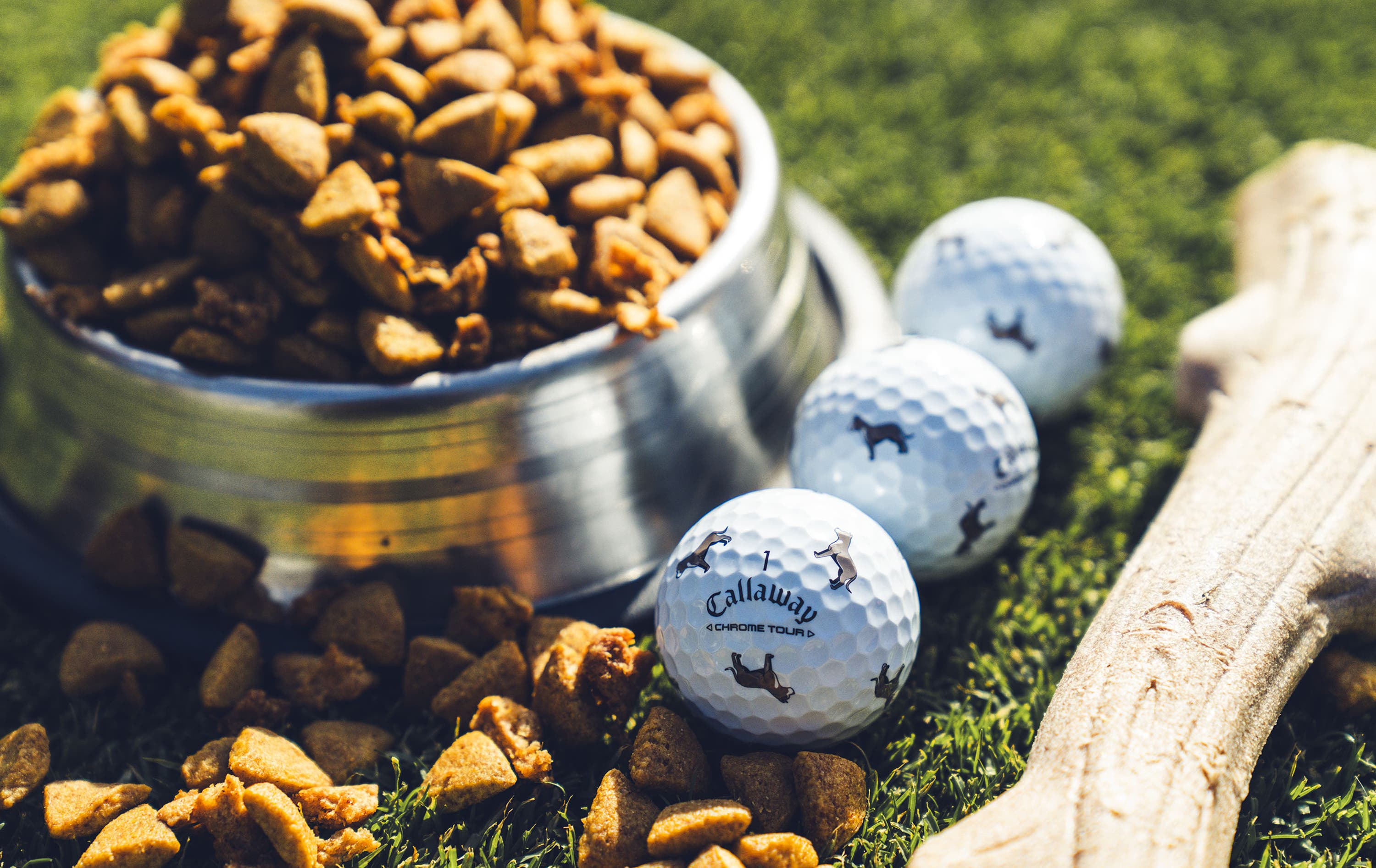 pit bull Chrome Tour Golf Balls