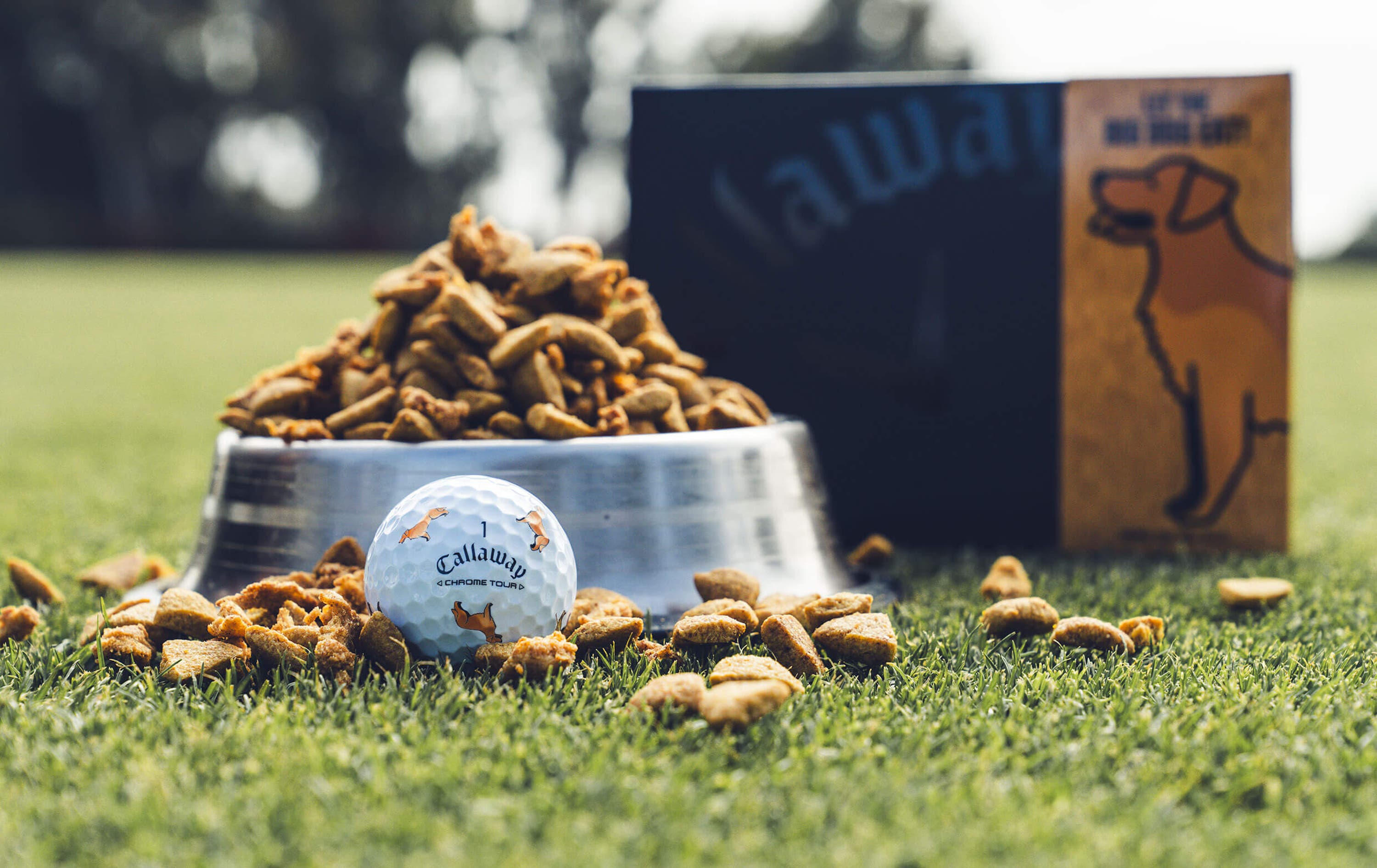 Golden Retriever Chrome Tour Golf Balls