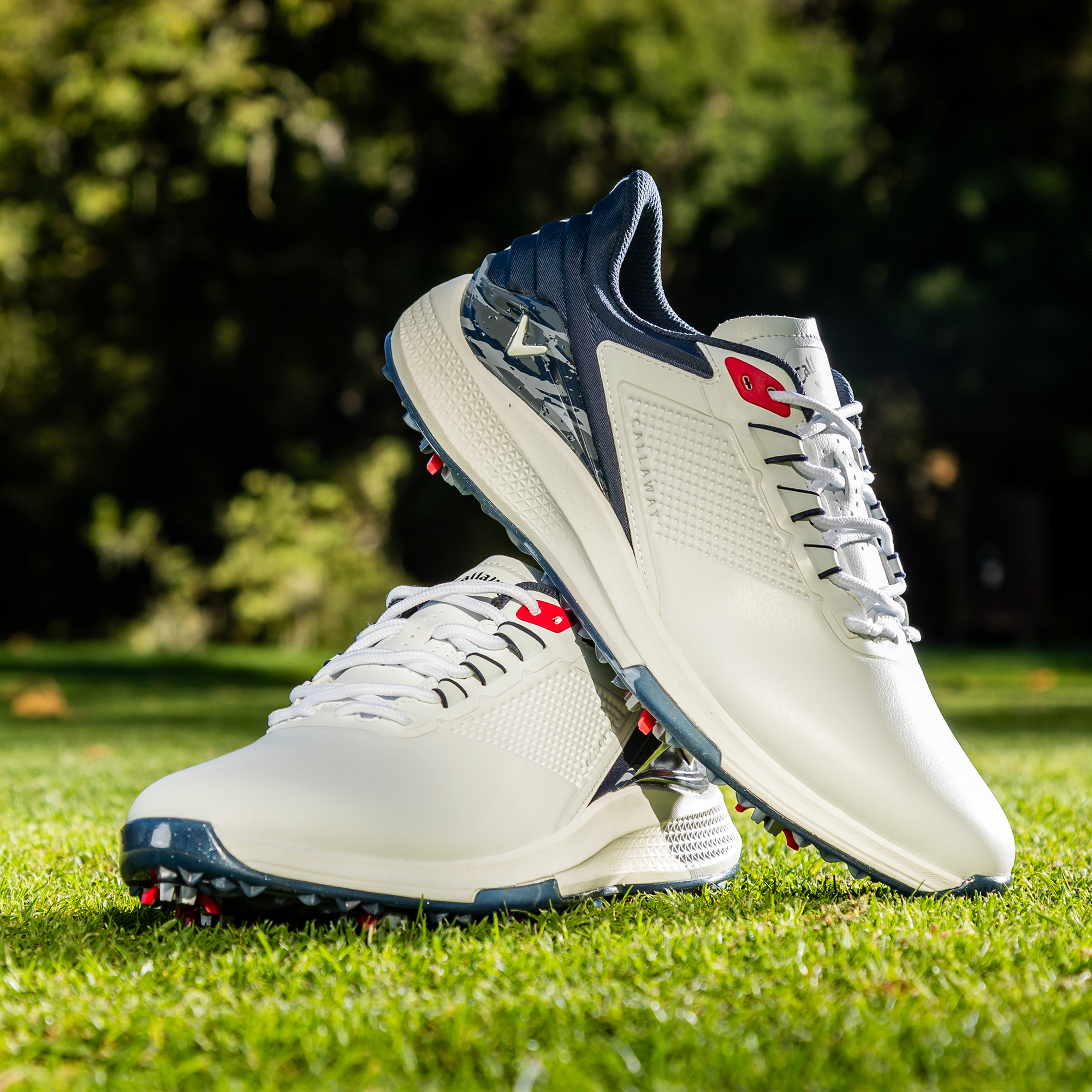 Coronado v4 Mens Golf Shoes