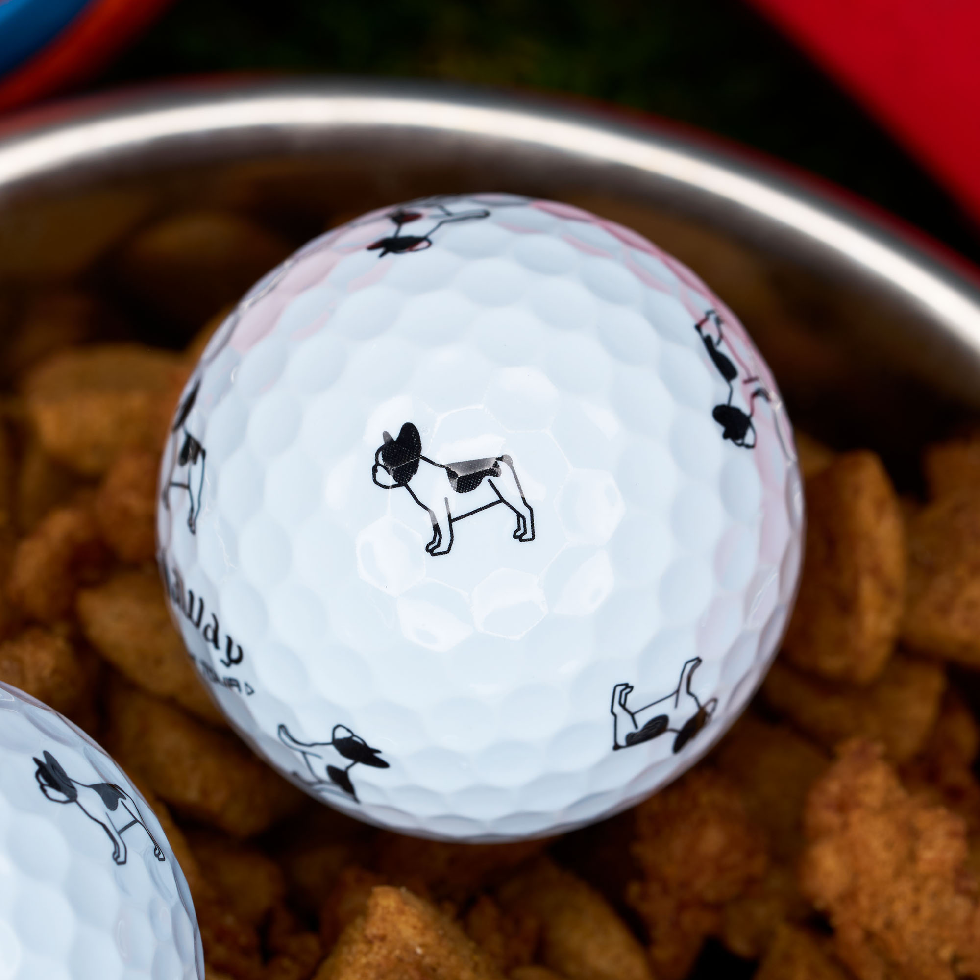Chrome Tour Small Dogs: Pied French Bulldog