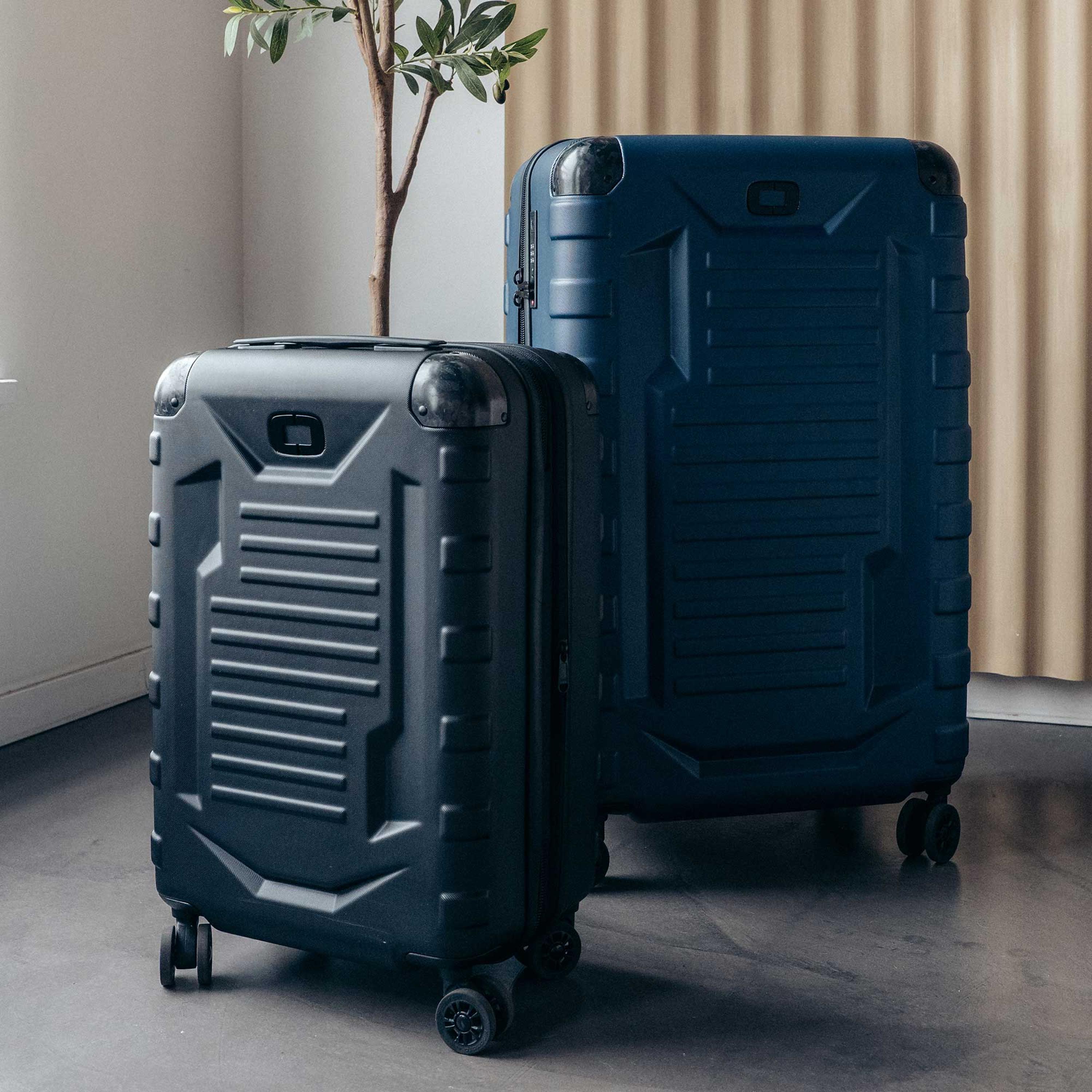 Luggage collection