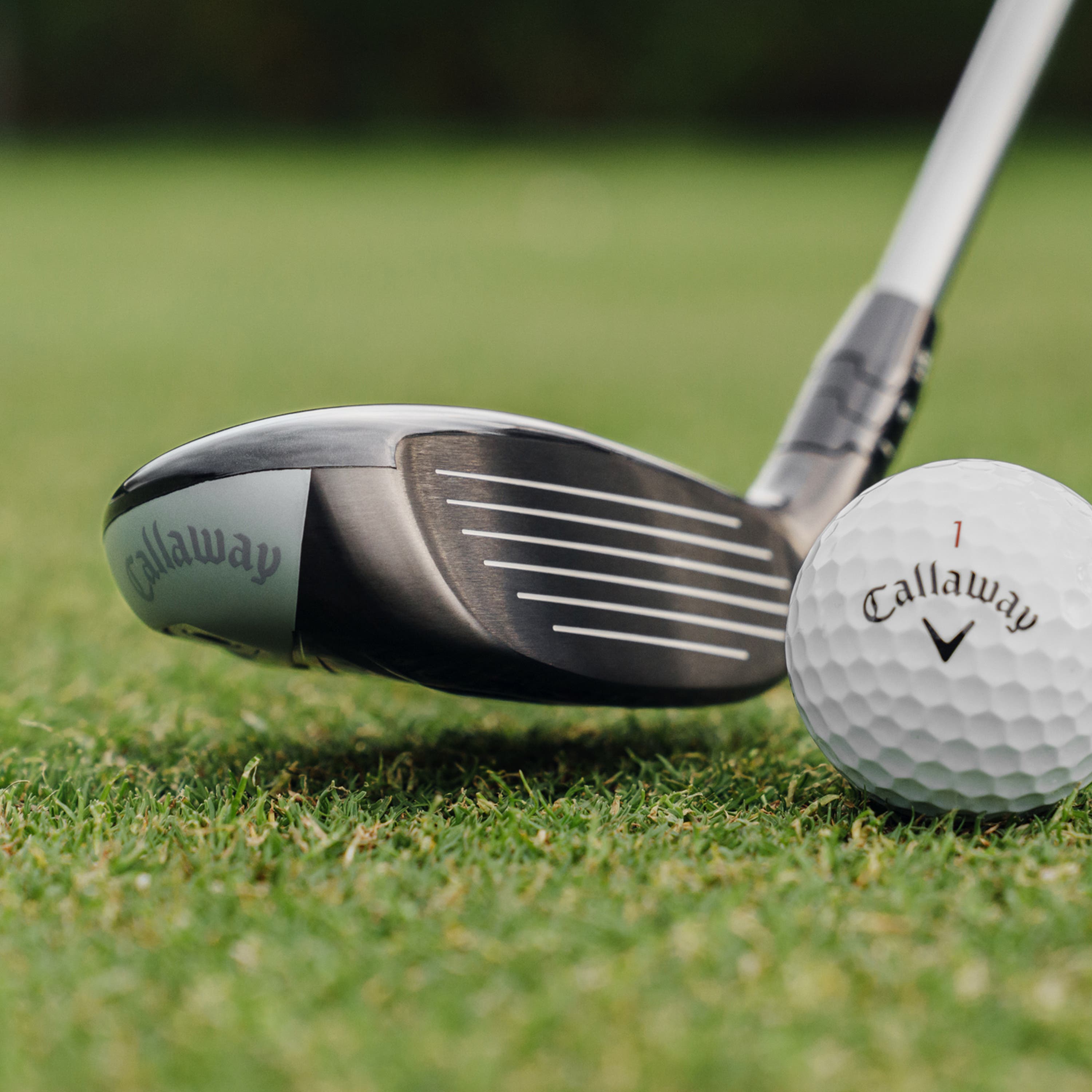 Quantum Hybrid and Golf Ball