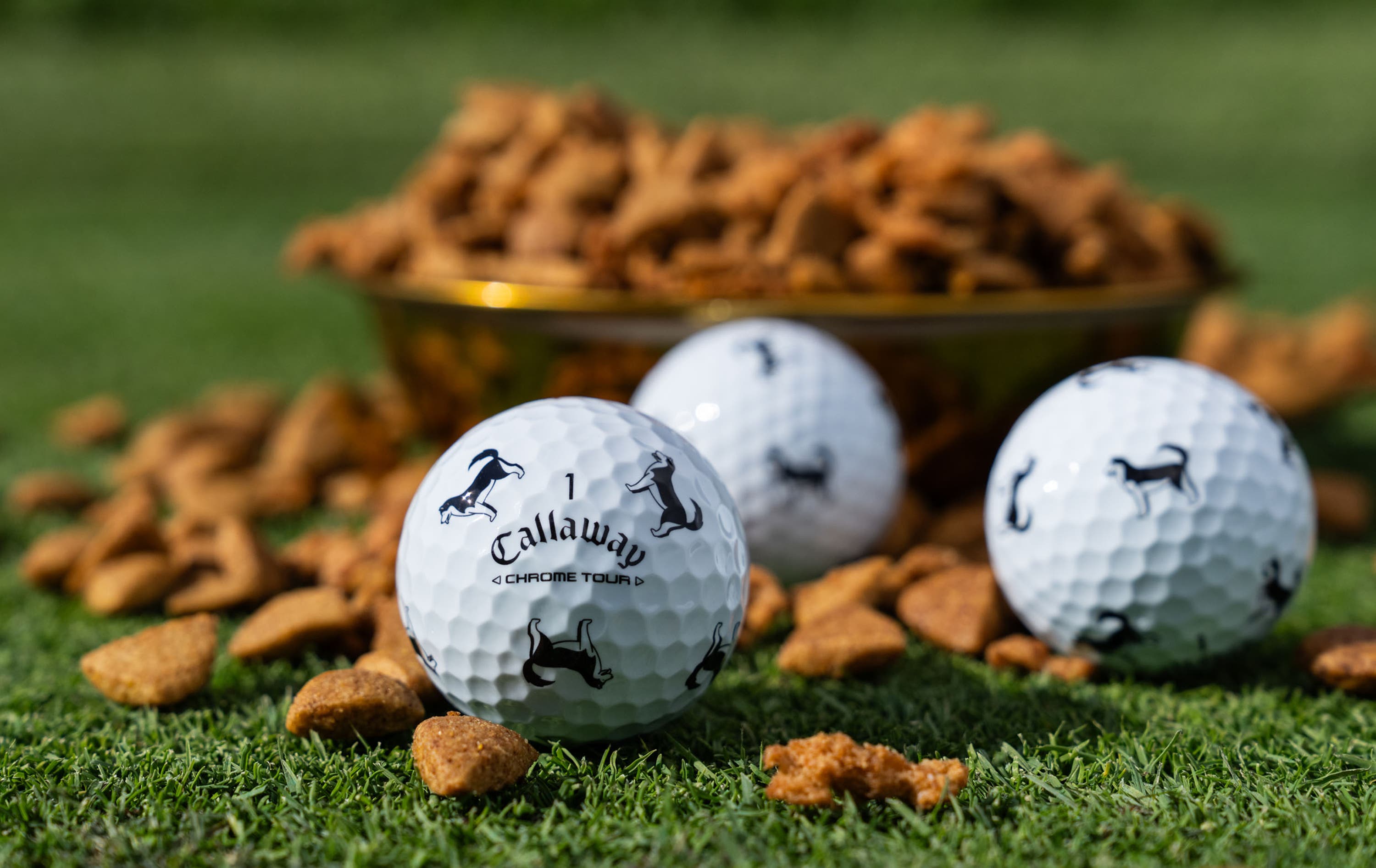 Chrome Tour Let the Big Dog Eat – Husky Golf Balls