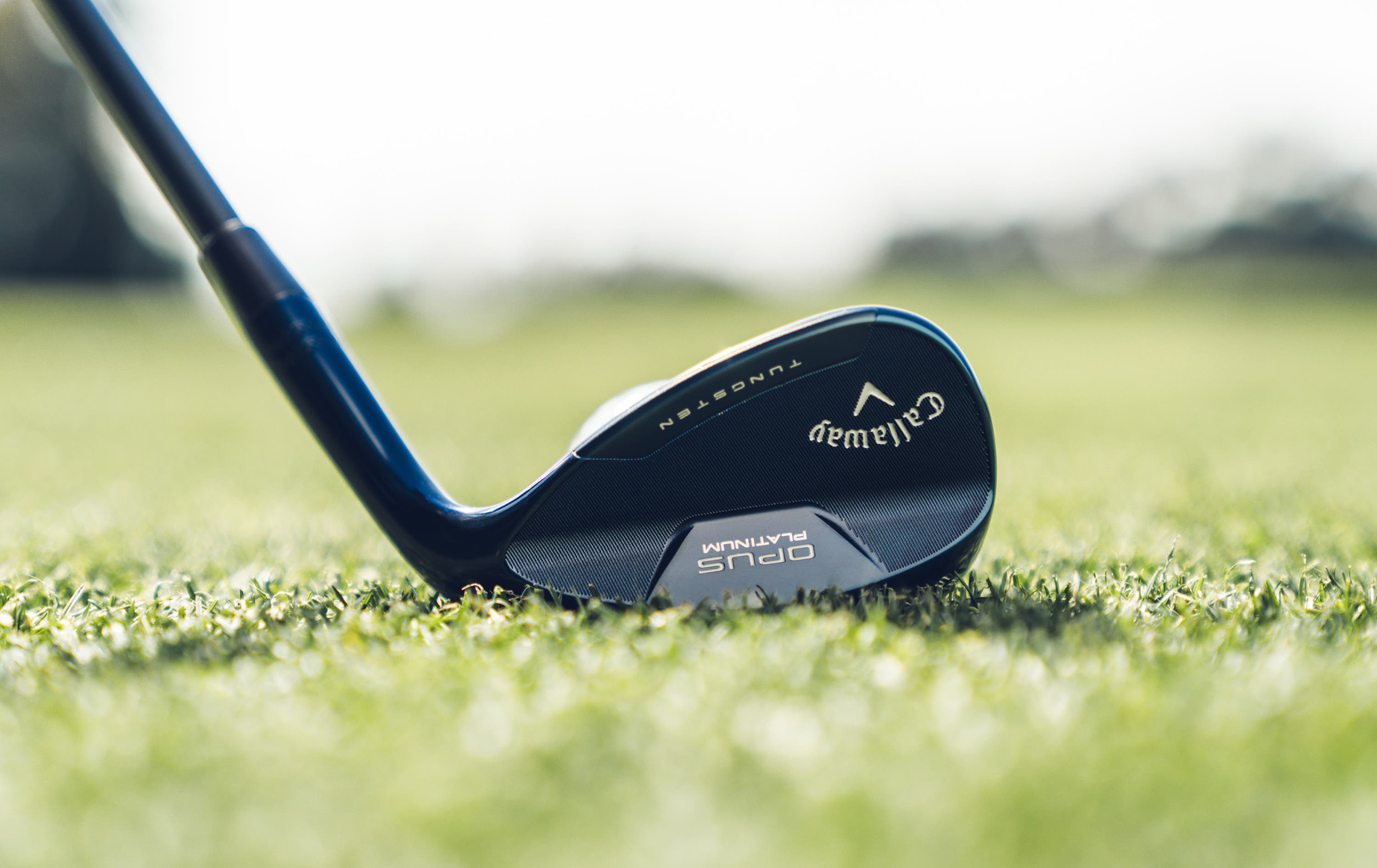 opus wedge in grass