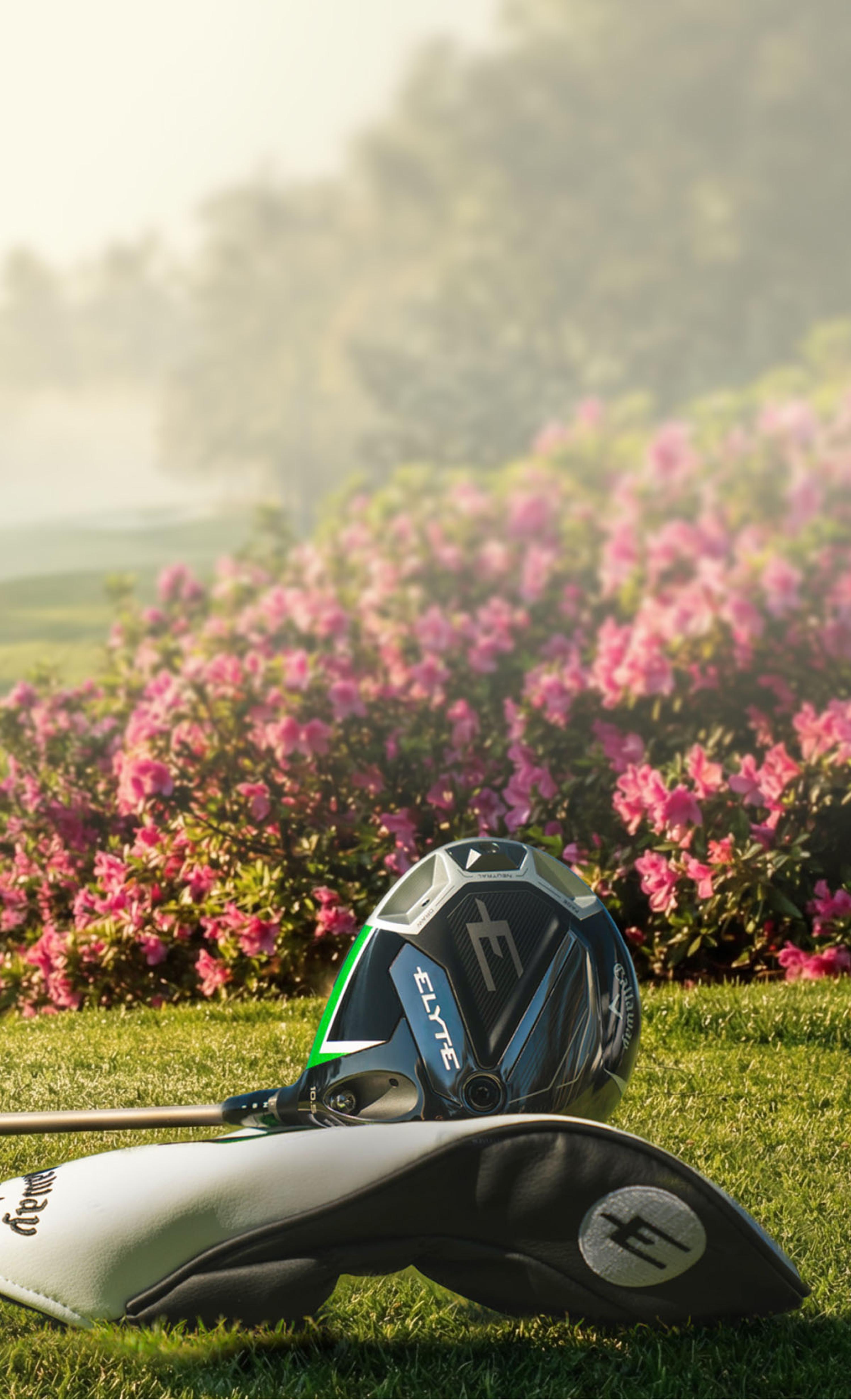 elyte club and glove on field with flowers