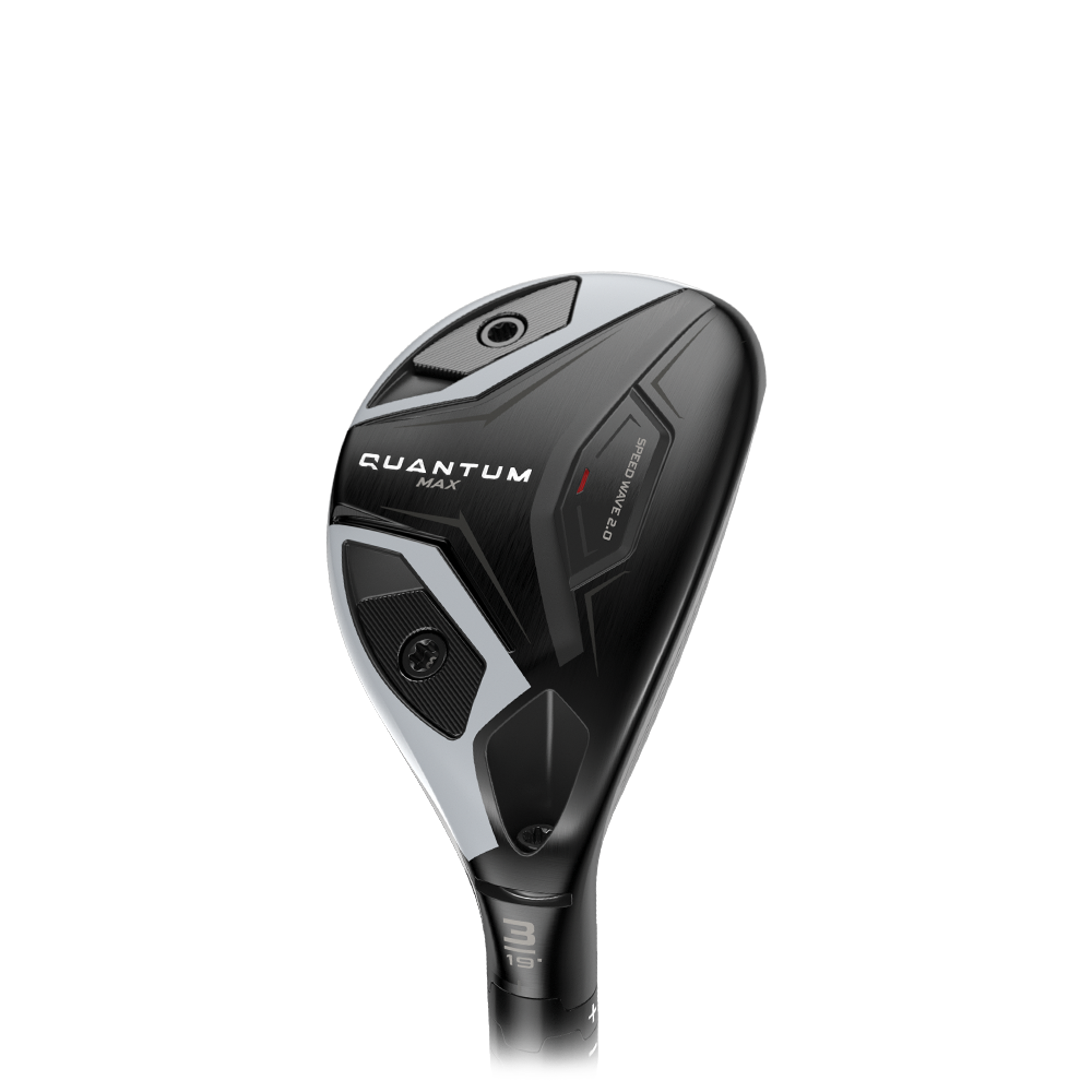 Quantum Max Hybrid
