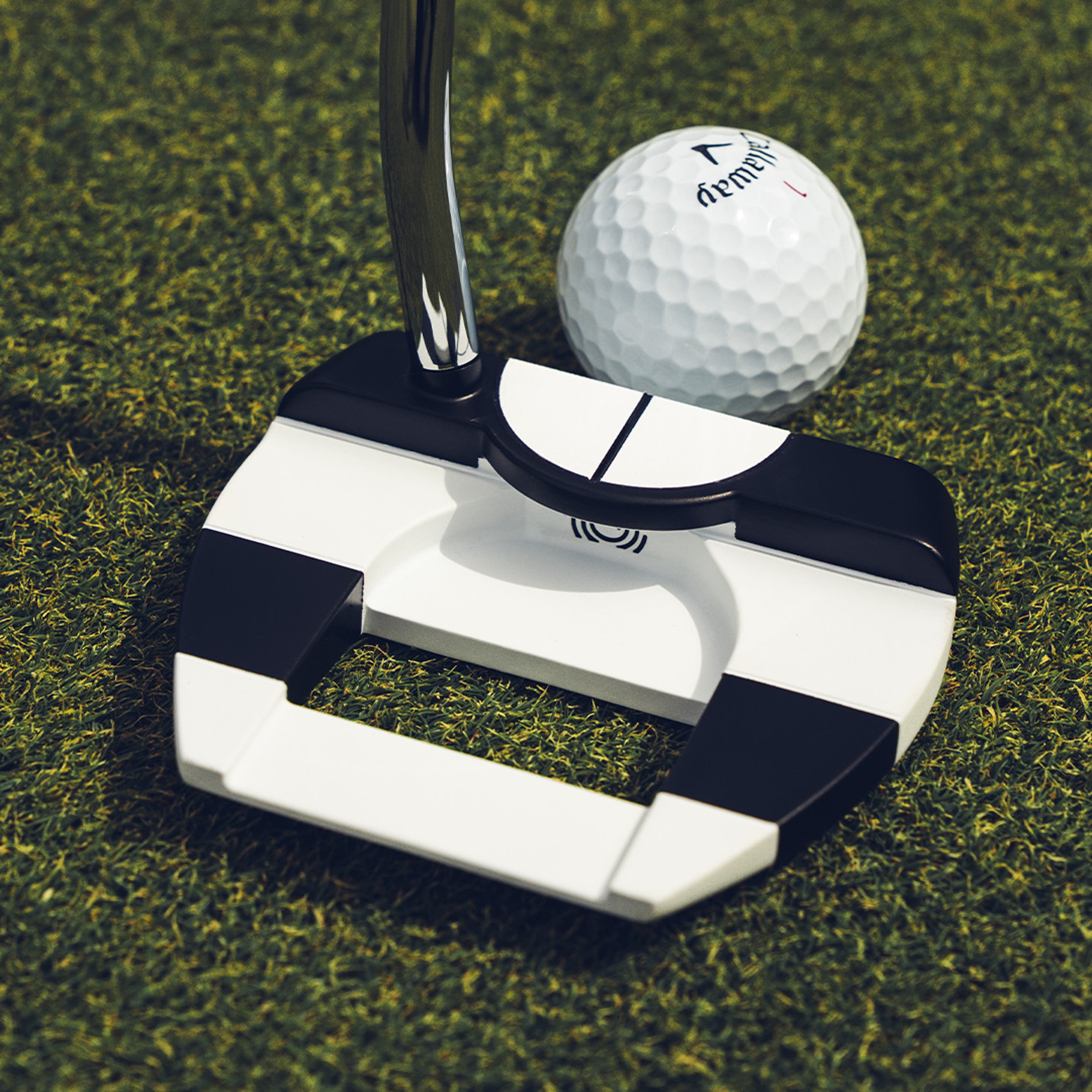 Ai-DUAL Jailbird Mini ½ Ball Putter